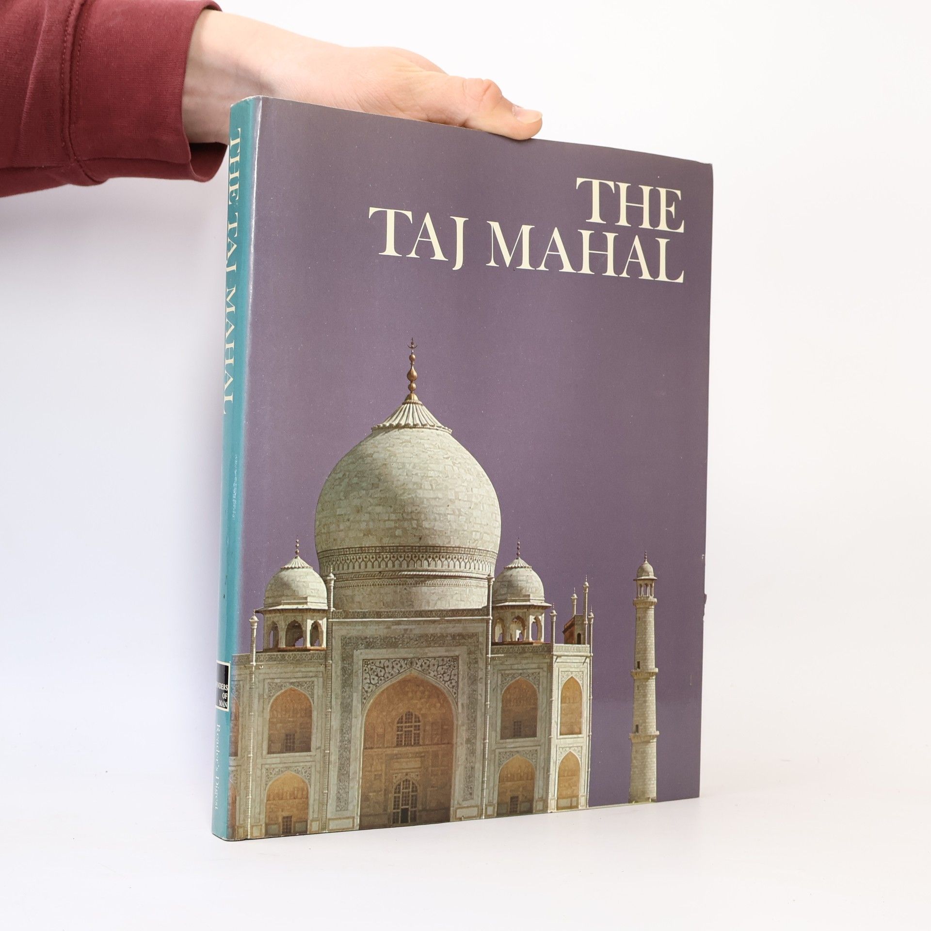 David Carroll The Taj Mahal