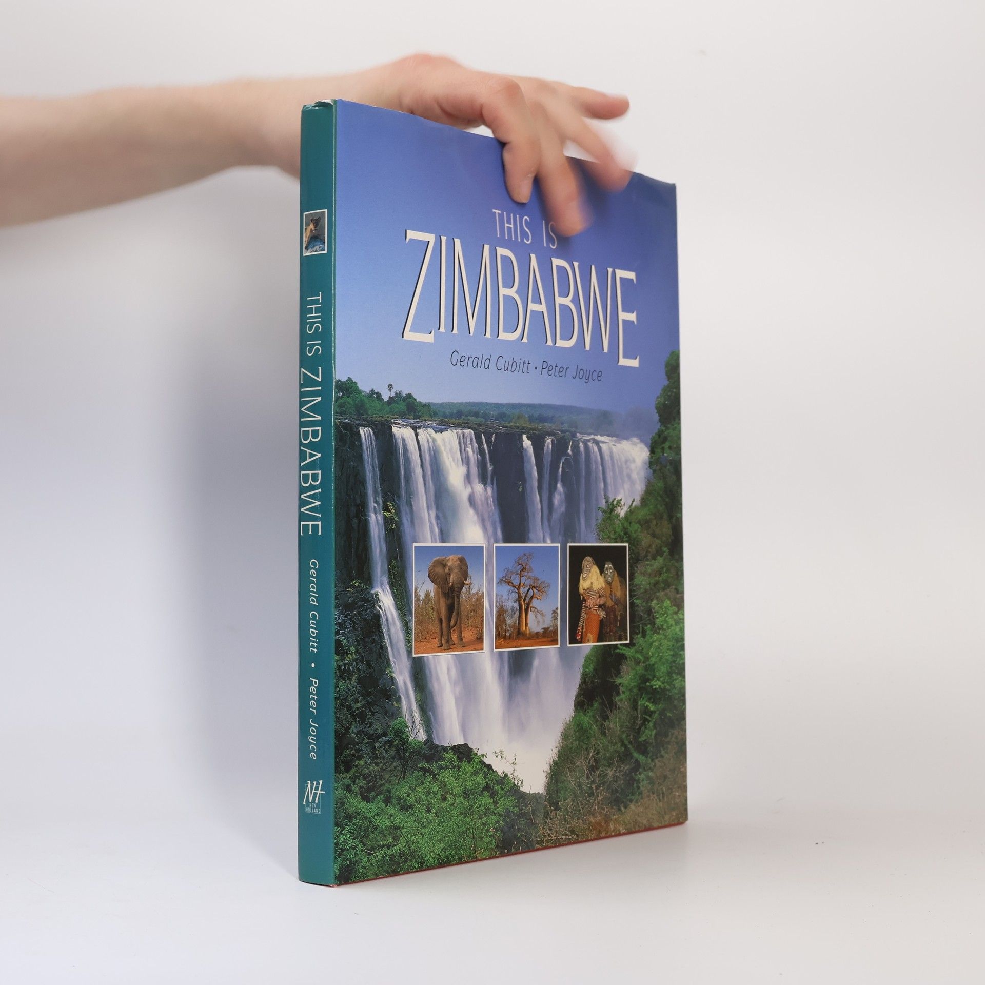 Gerald Cubitt This Is Zimbabwe