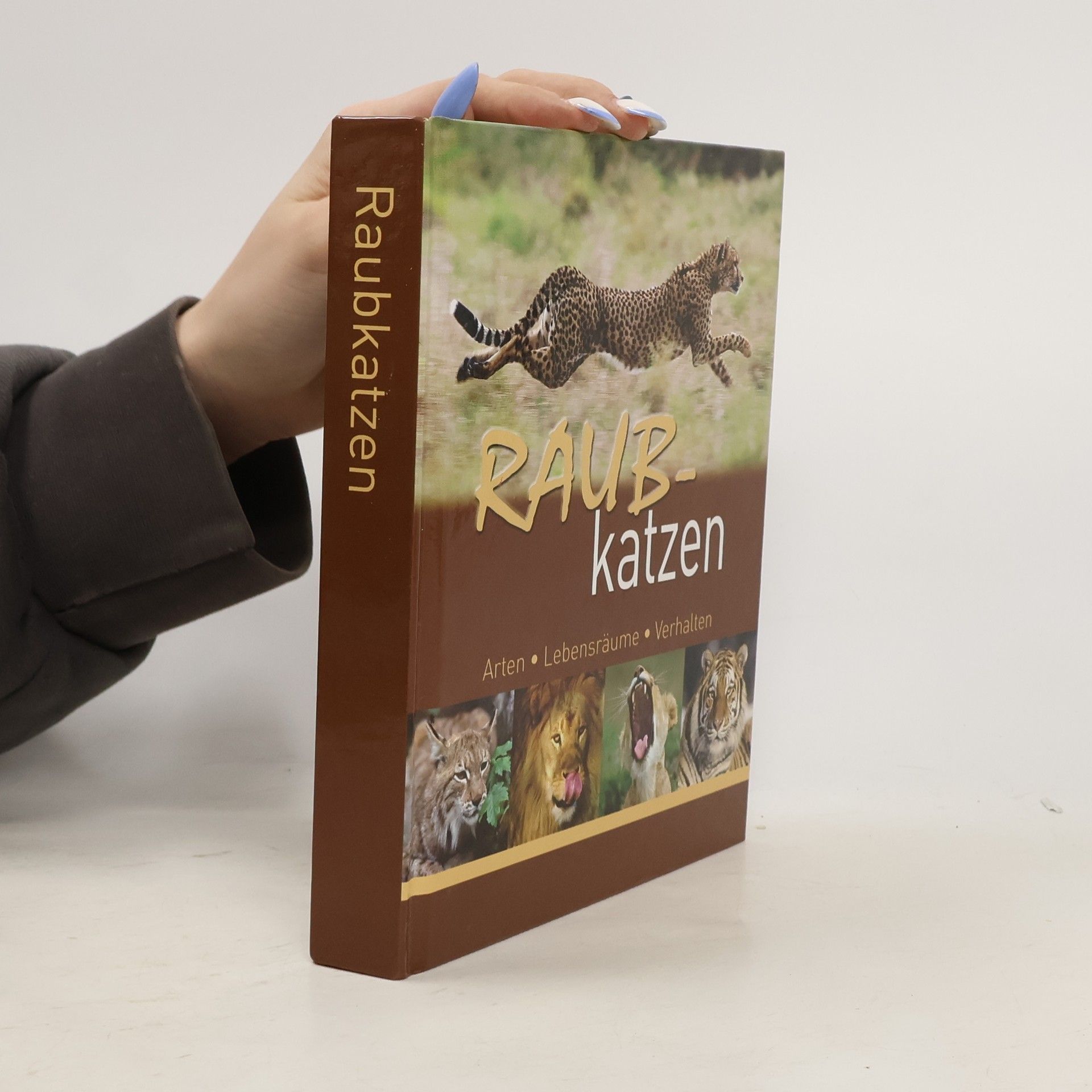 Hans W. Kothe Raubkatzen