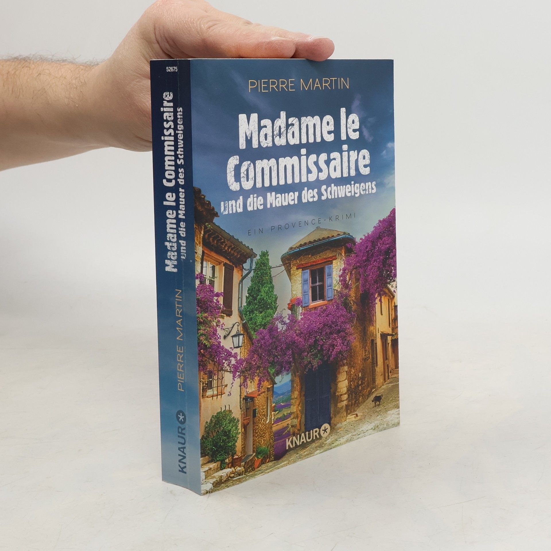 Pierre Martin Madame le Commissaire und die Mauer des Schweigens