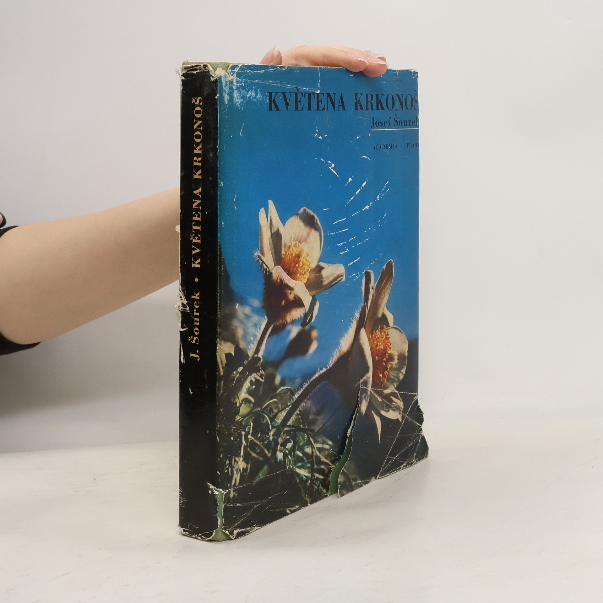 Josef Šourek Květena. Krkonoš