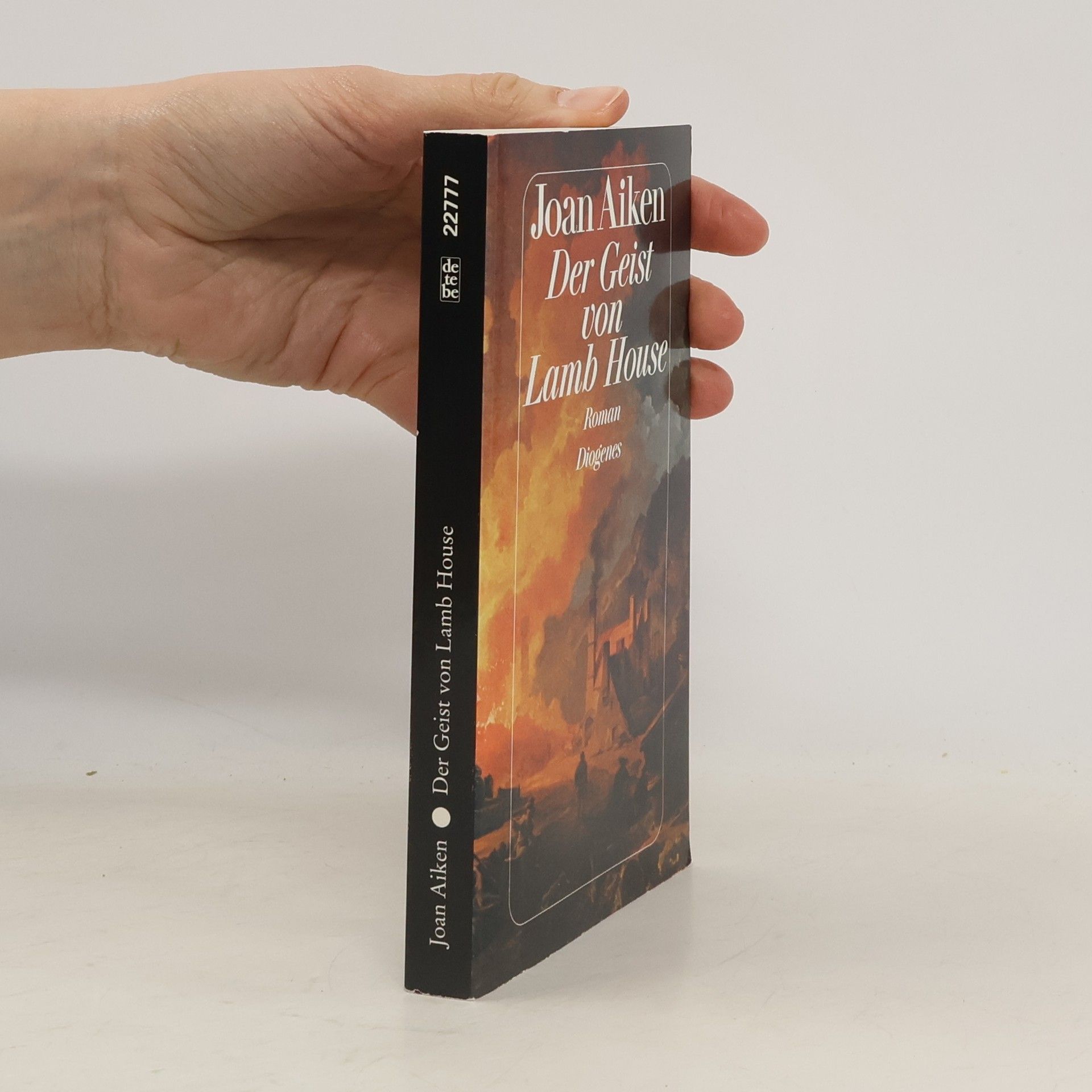 Joan Aiken Der Geist von Lamb House