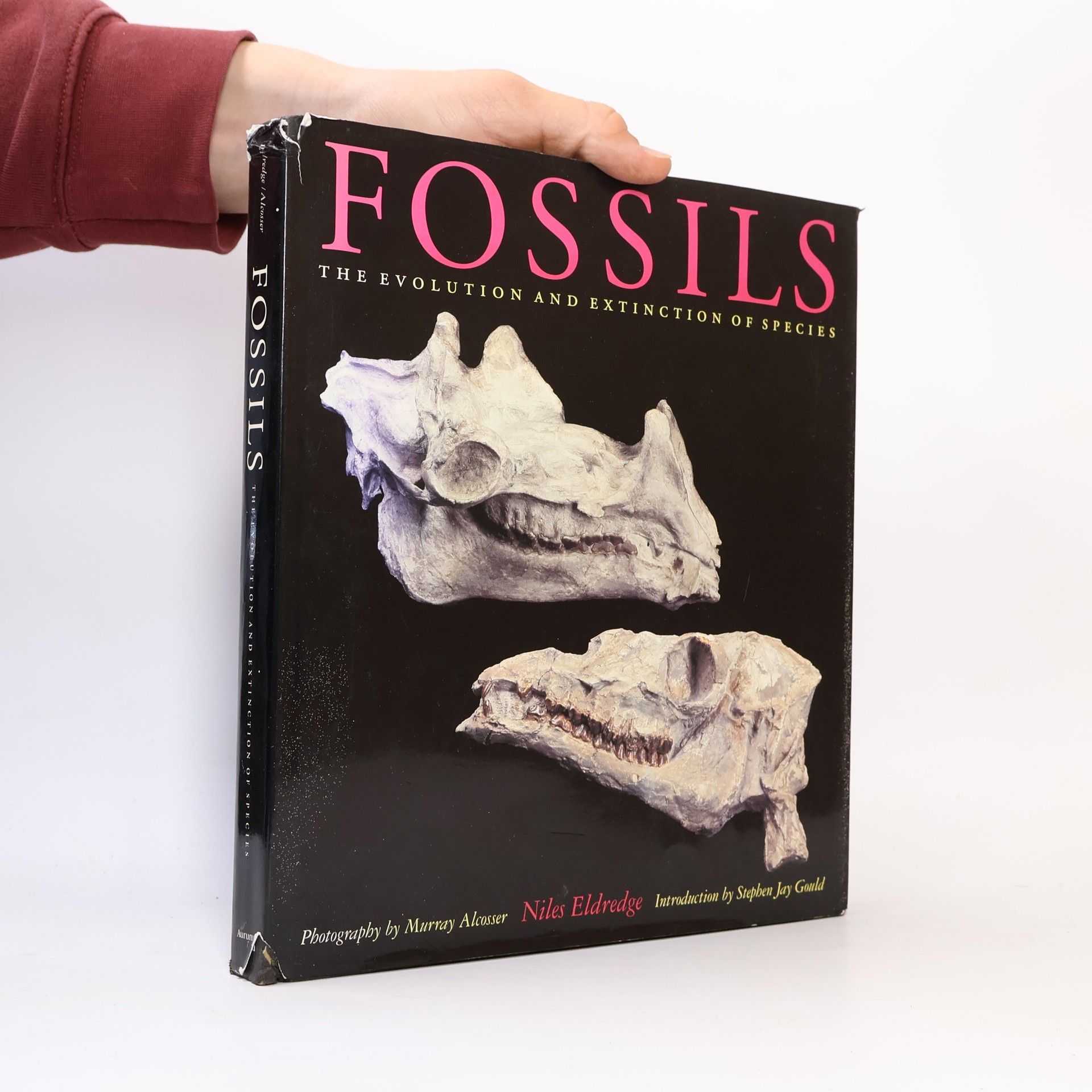 Niles Eldredge Fossils