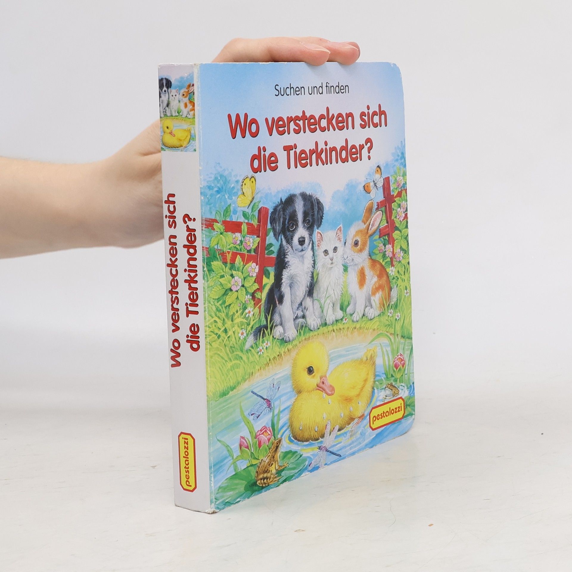 Autorenkollektiv Wo verstecken sich die Tierkinder?