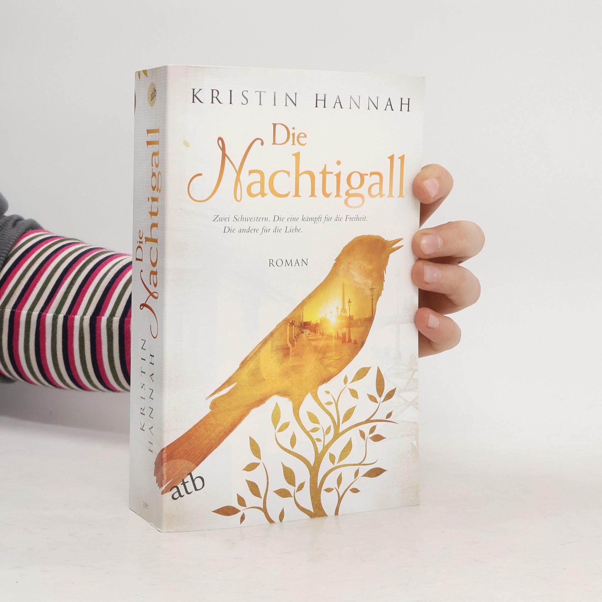 Kristin Hannah Die Nachtigall