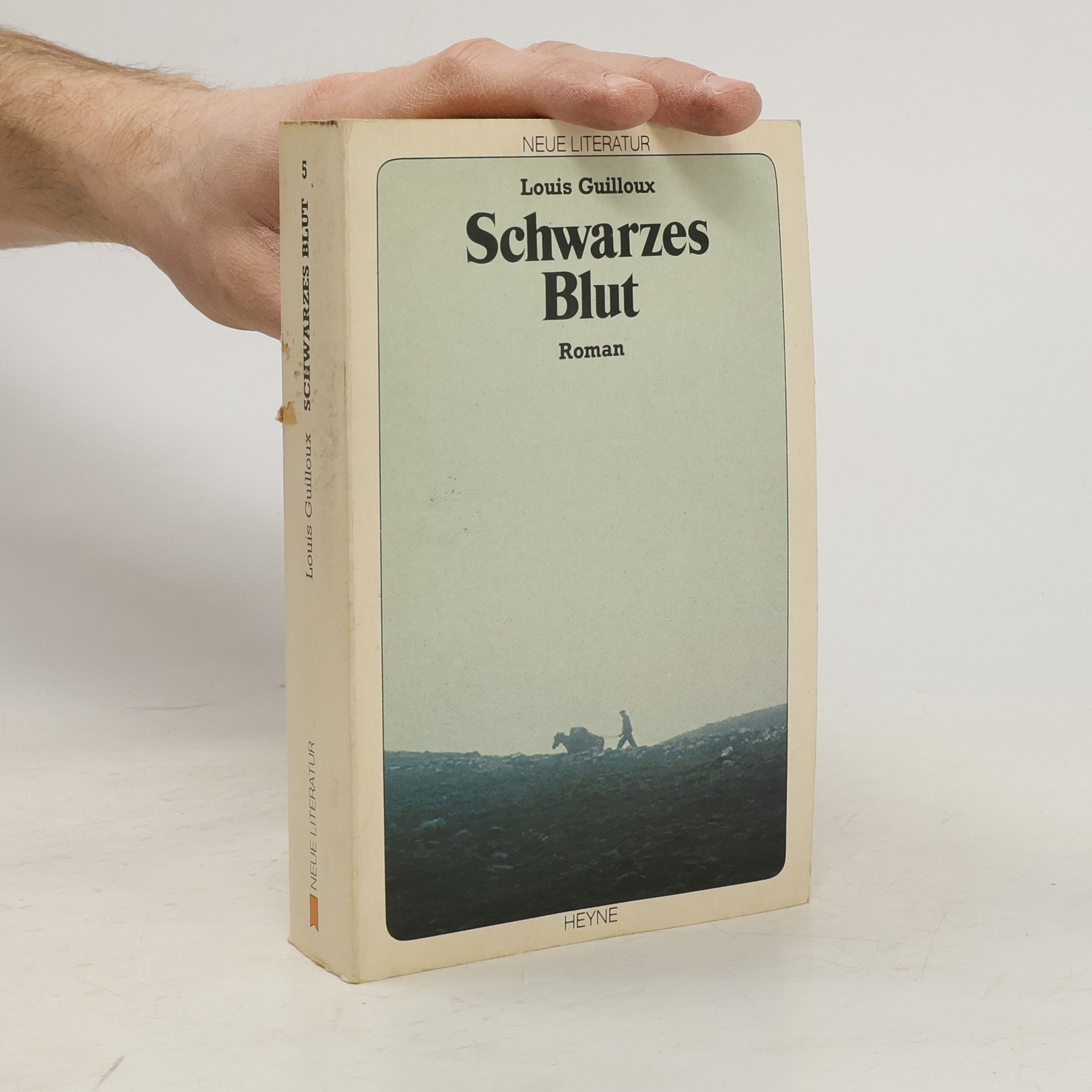 Louis Guilloux Schwarzes Blut