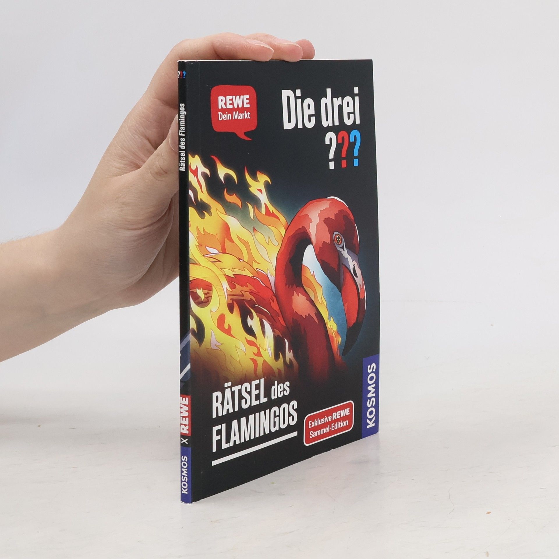 Andreas Ruch Die drei??? Rätsel des Flamingos