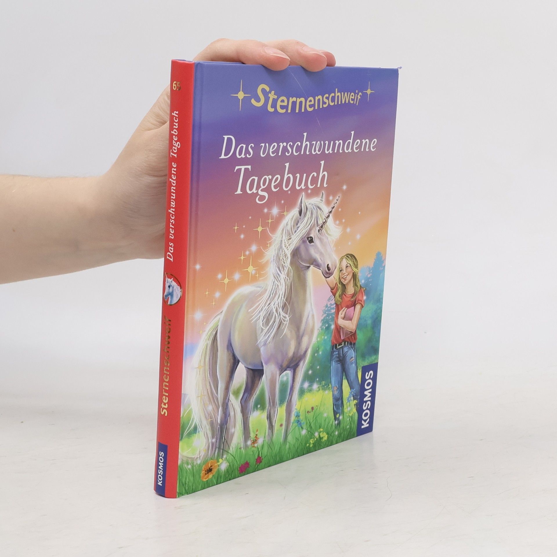 Anne Scheller Das verschwundene Tagebuch