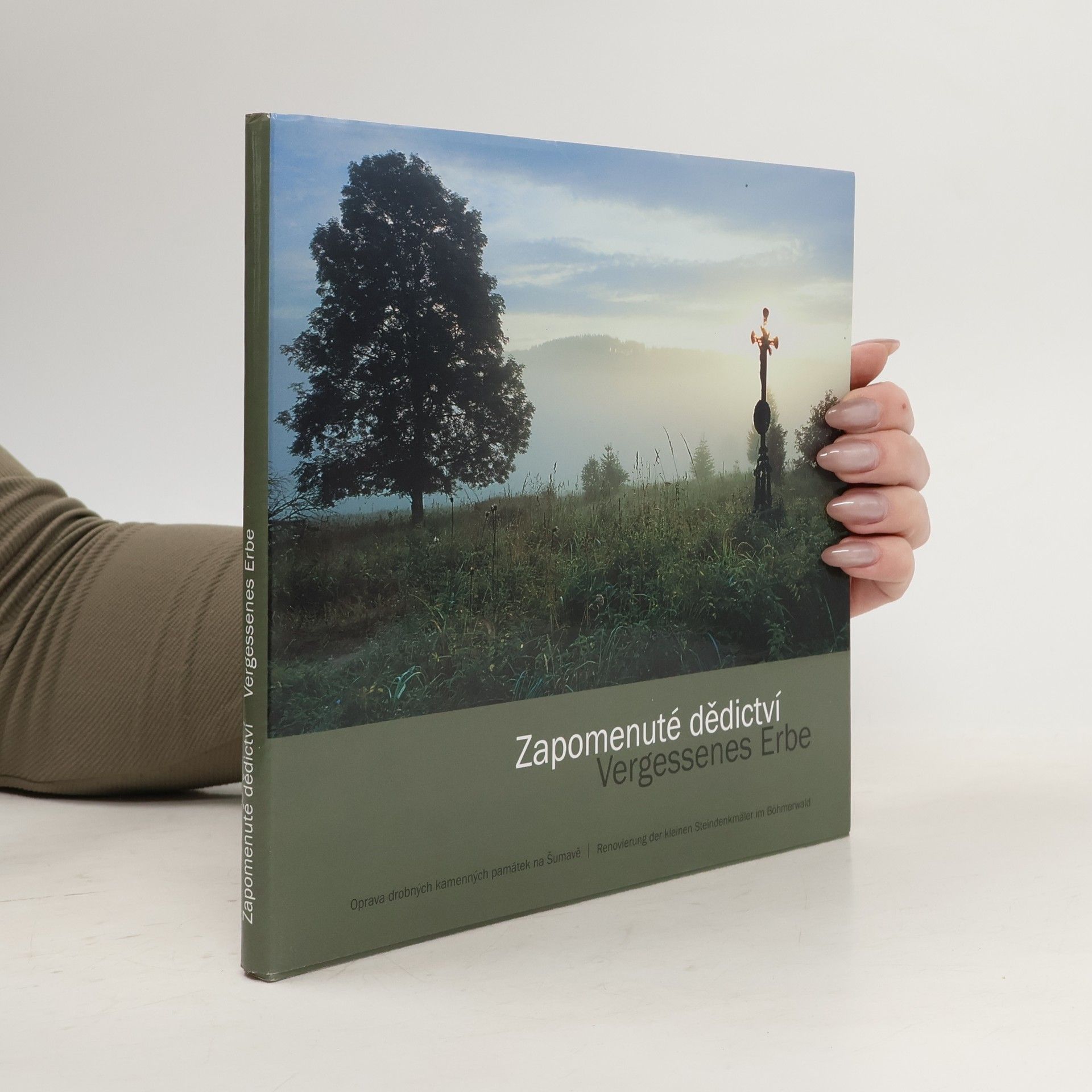 Zapomenuté dědictví : oprava drobných kamenných památek na Šumavě = Vergessenes Erbe : Renovierung der kleinen Steindenkmäler in Böhmerwald