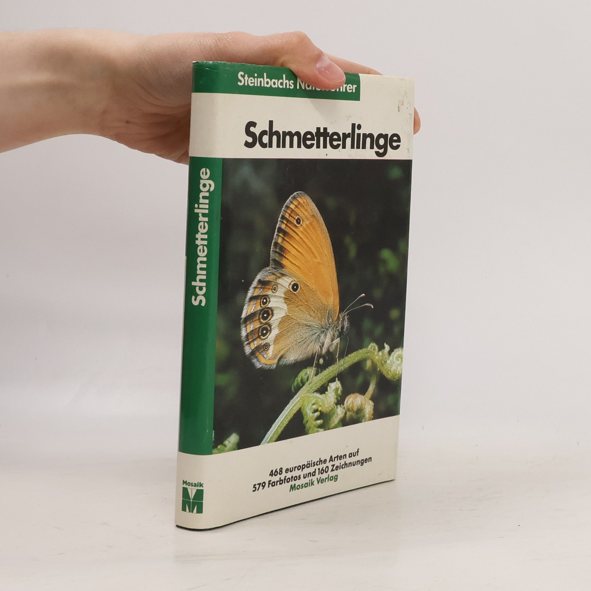 Kolektiv autorů Schmetterlinge