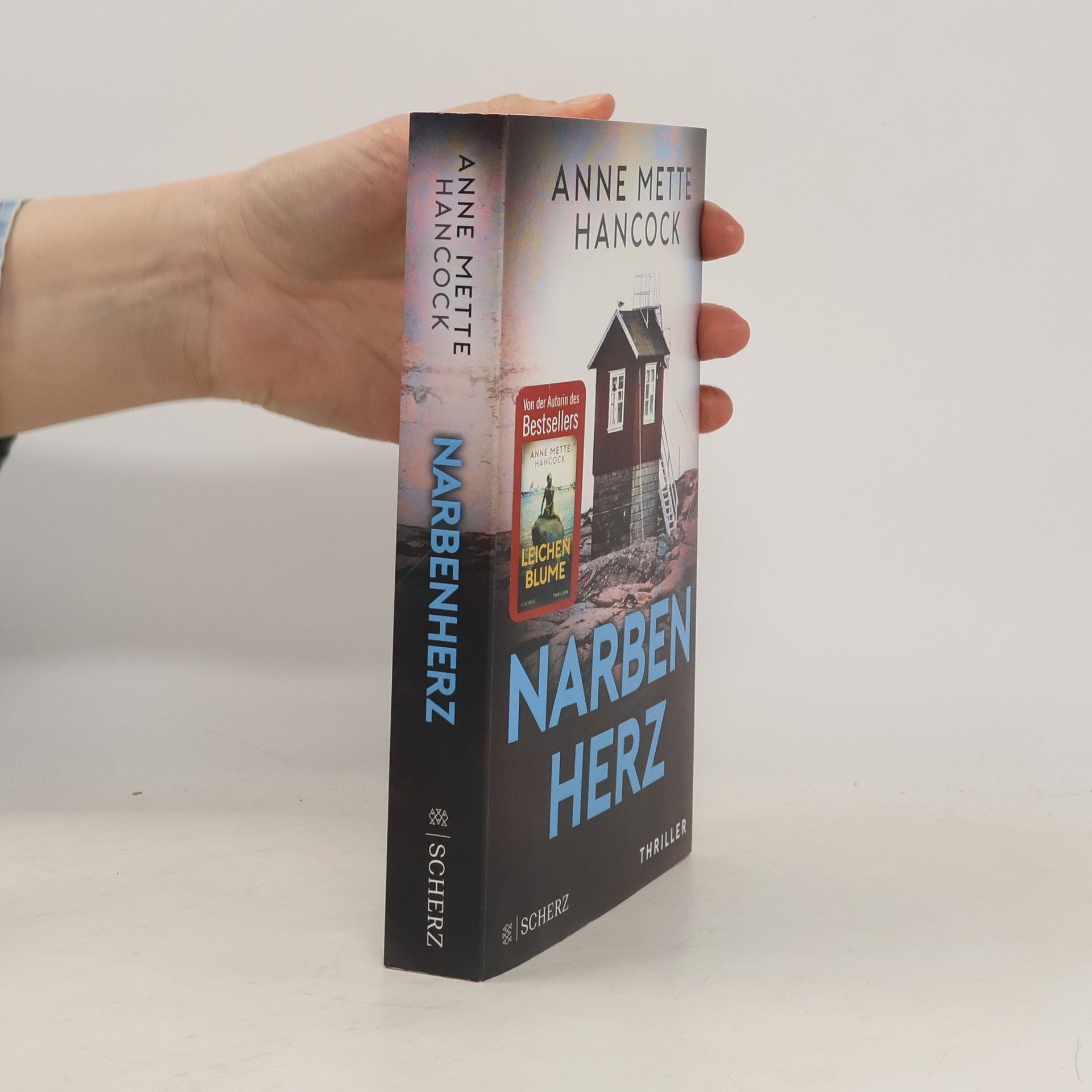 Anne Mette Hancock Narbenherz