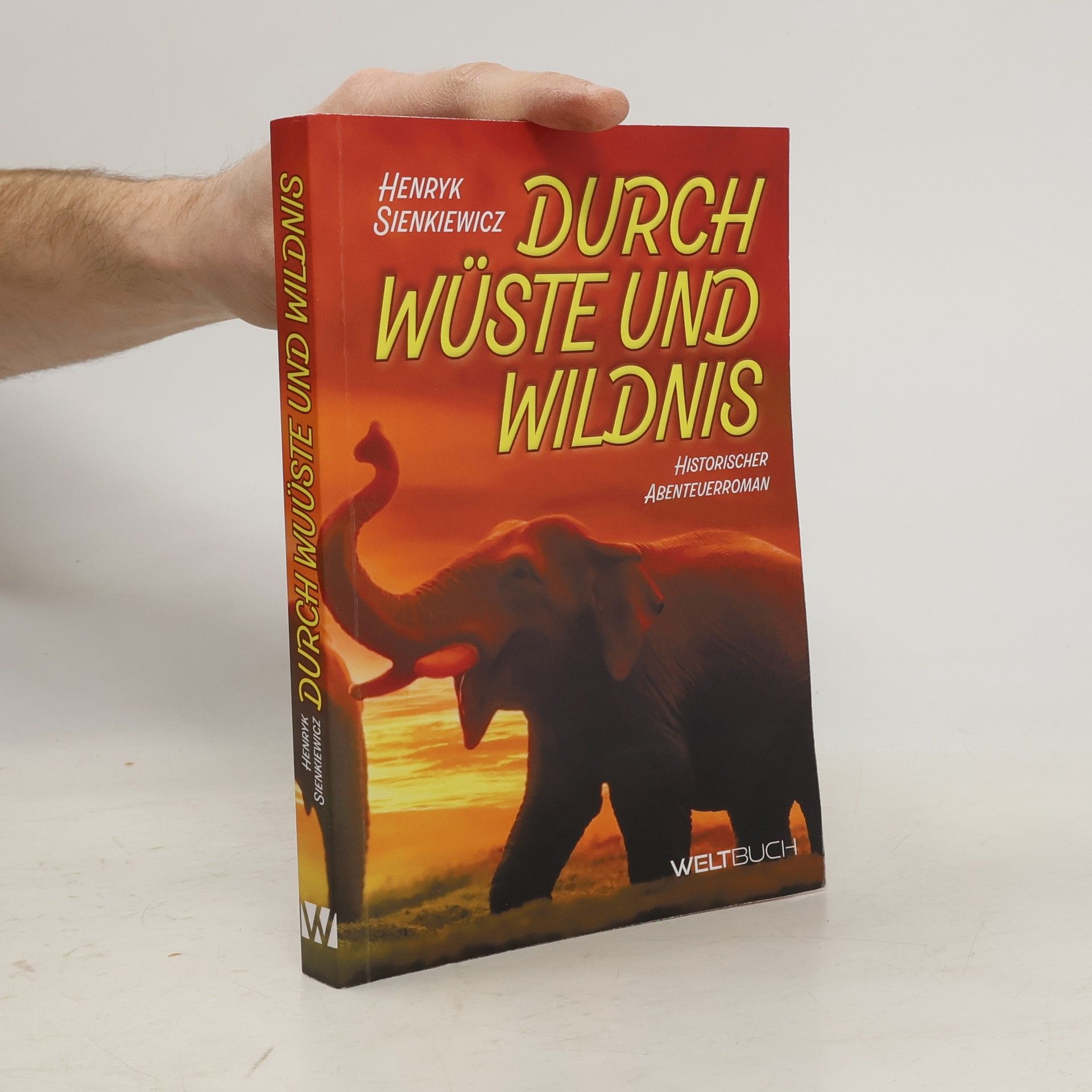 Henryk Sienkiewicz Durch Wüste und Wildnis