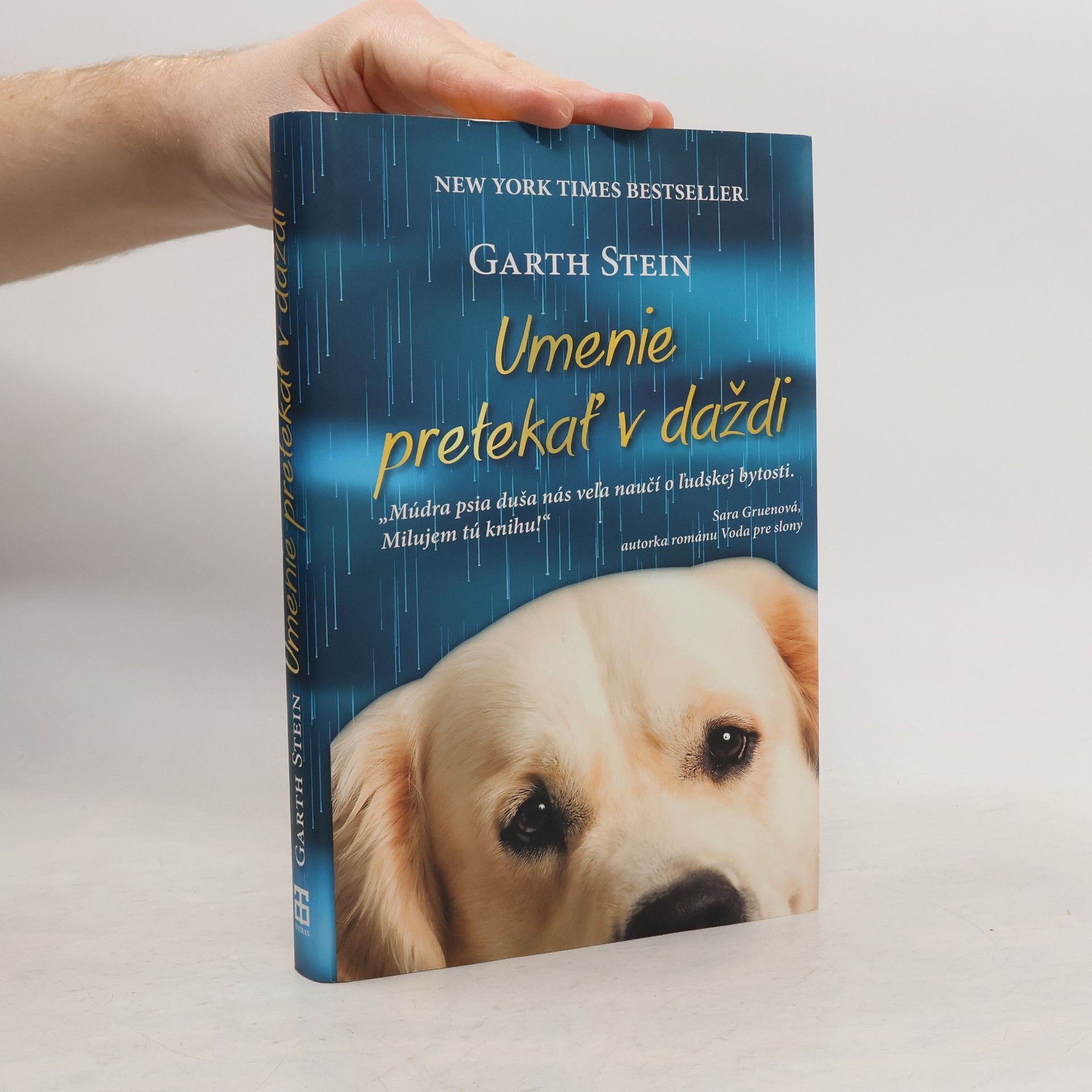 Garth Stein Umenie pretekať v daždi