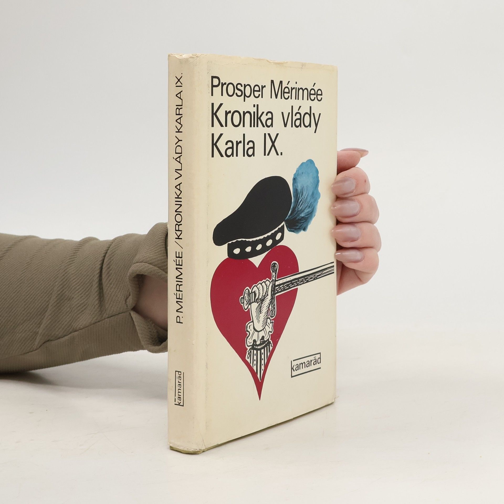 Kronika vlády Karla IX.