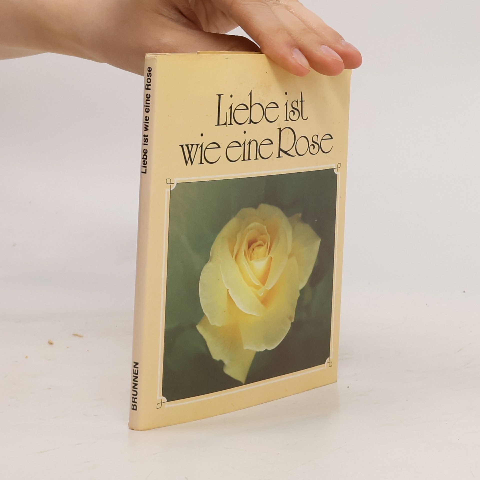 AA.VV. Liebe ist wie eine Rose