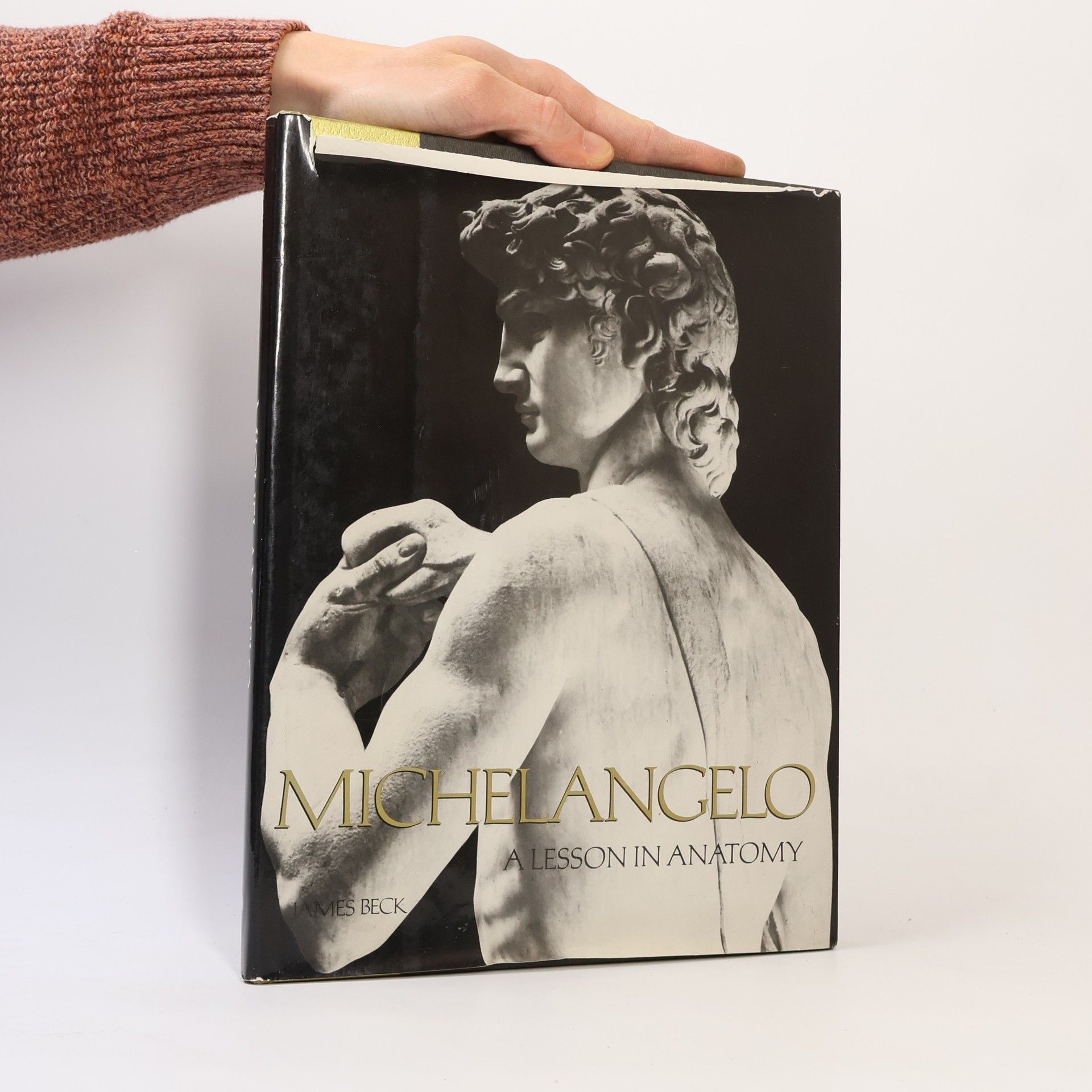 Ludwig Goldscheider Michelangelo Drawings