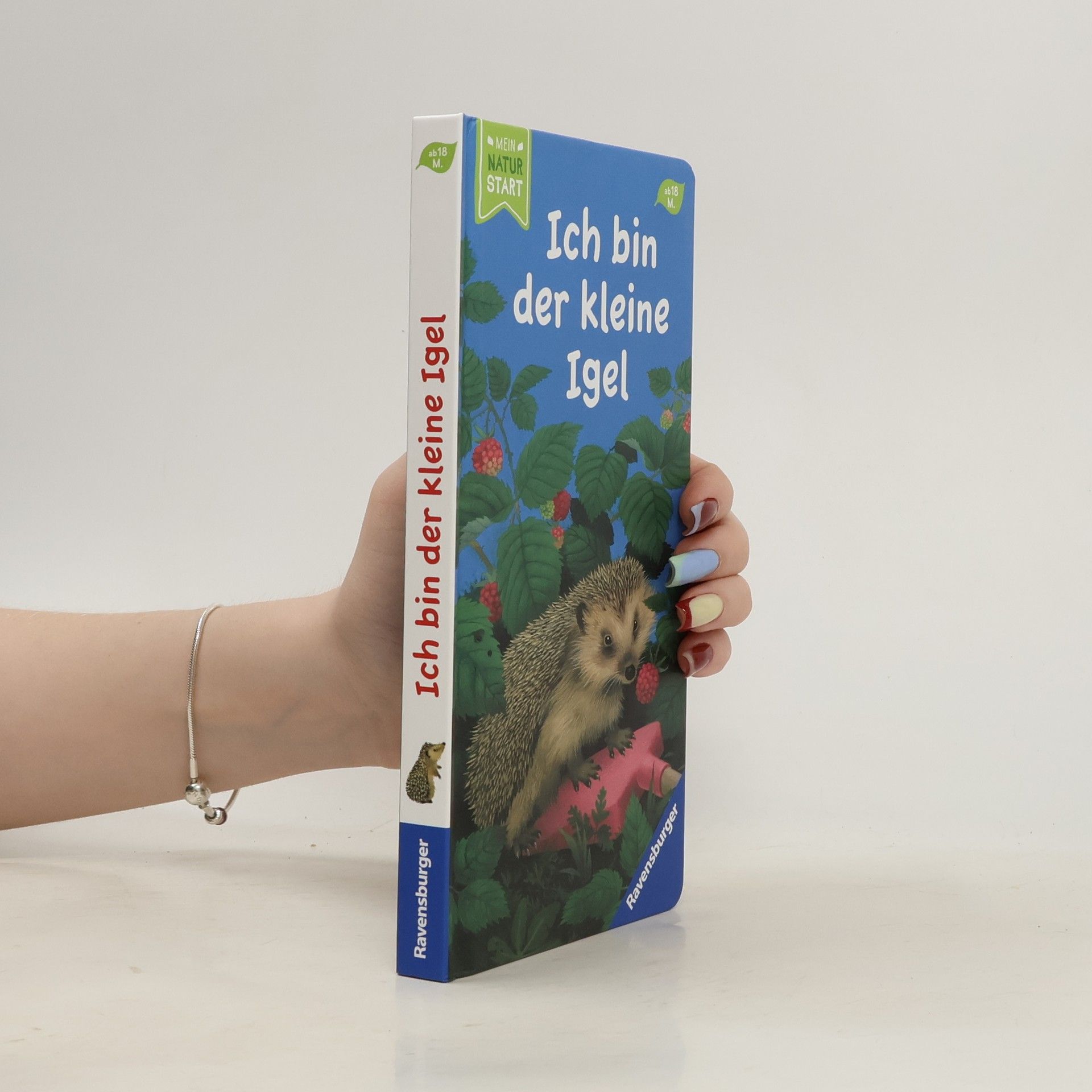 Gisela Stottele Ich bin der kleine Igel