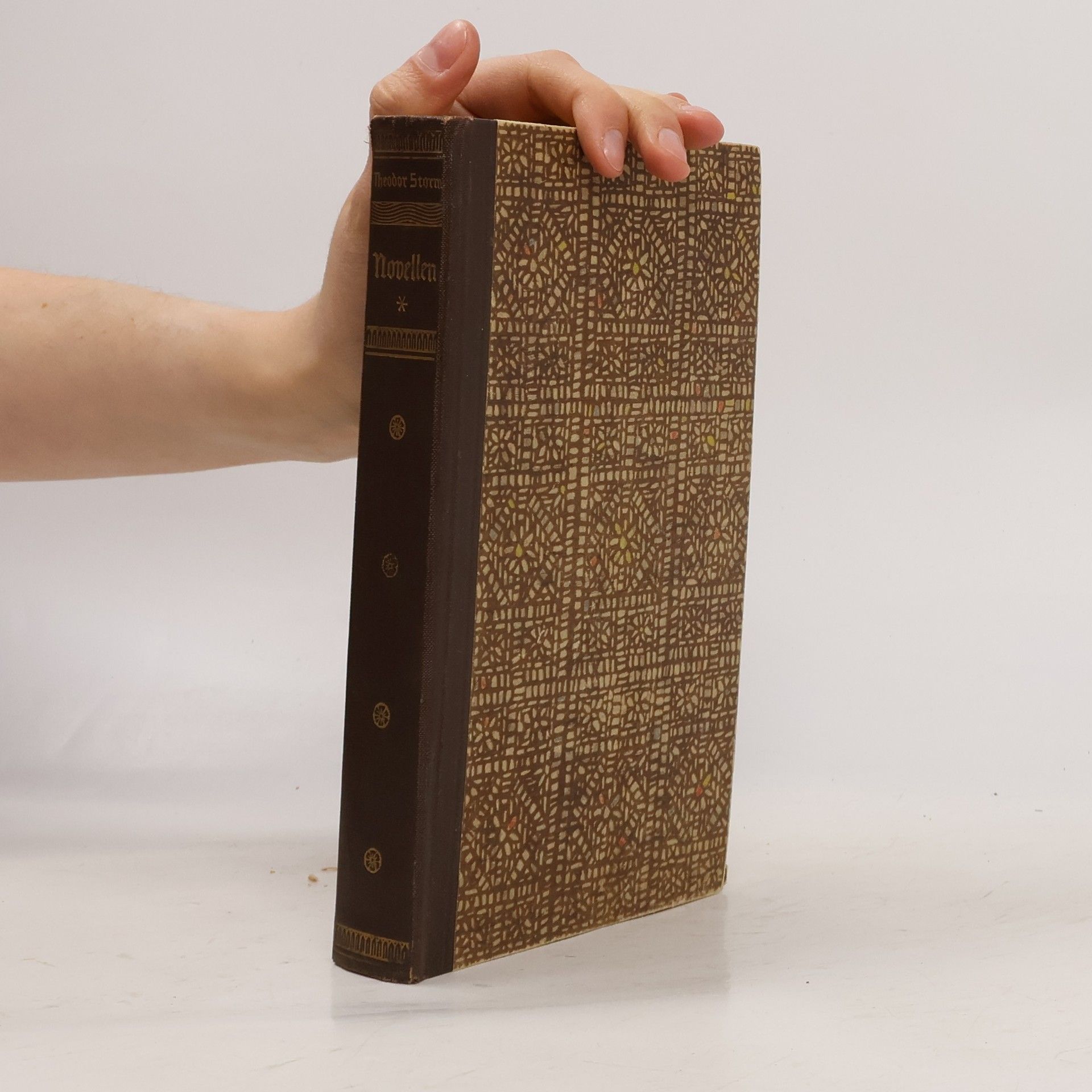 Theodor Storm Die schönsten Novellen