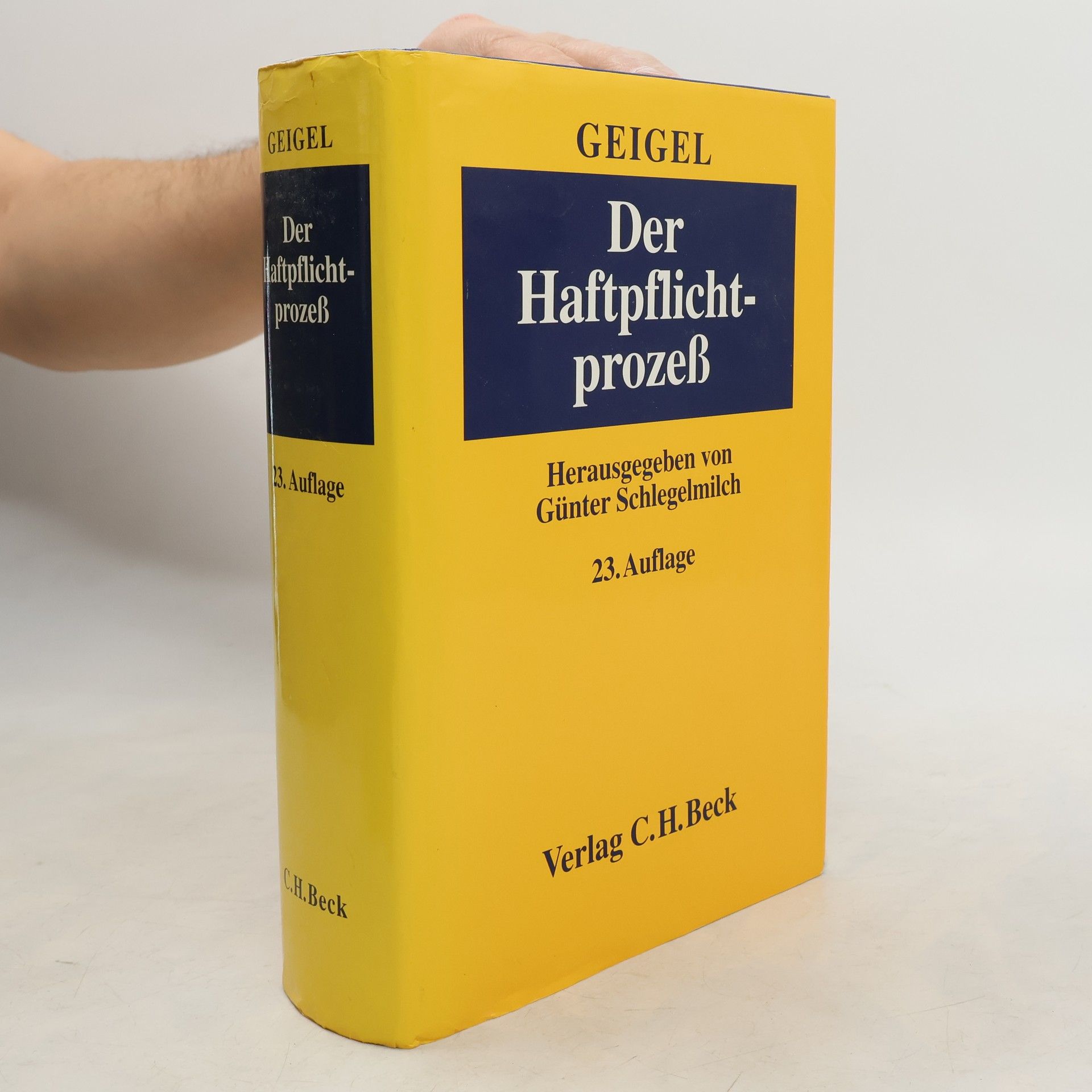 Reinhart Geigel Der Haftpflichtprozess