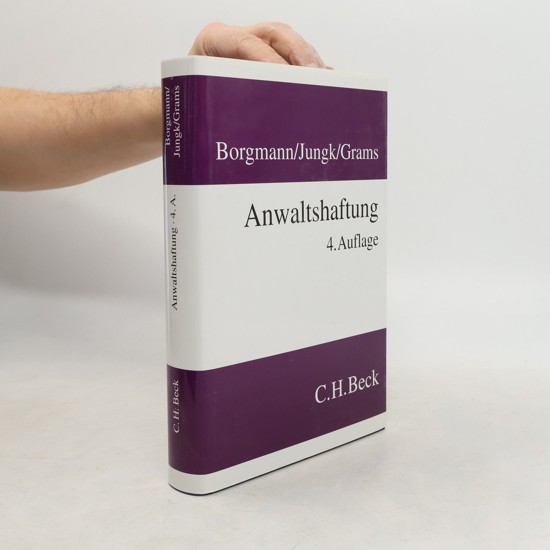 Brigitte Borgmann Anwaltshaftung