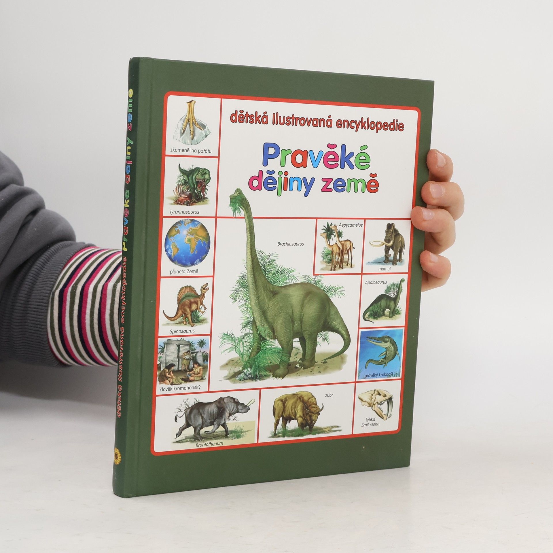 Sandra Silva Pravěké dějiny Země : dětská ilustrovaná encyklopedie