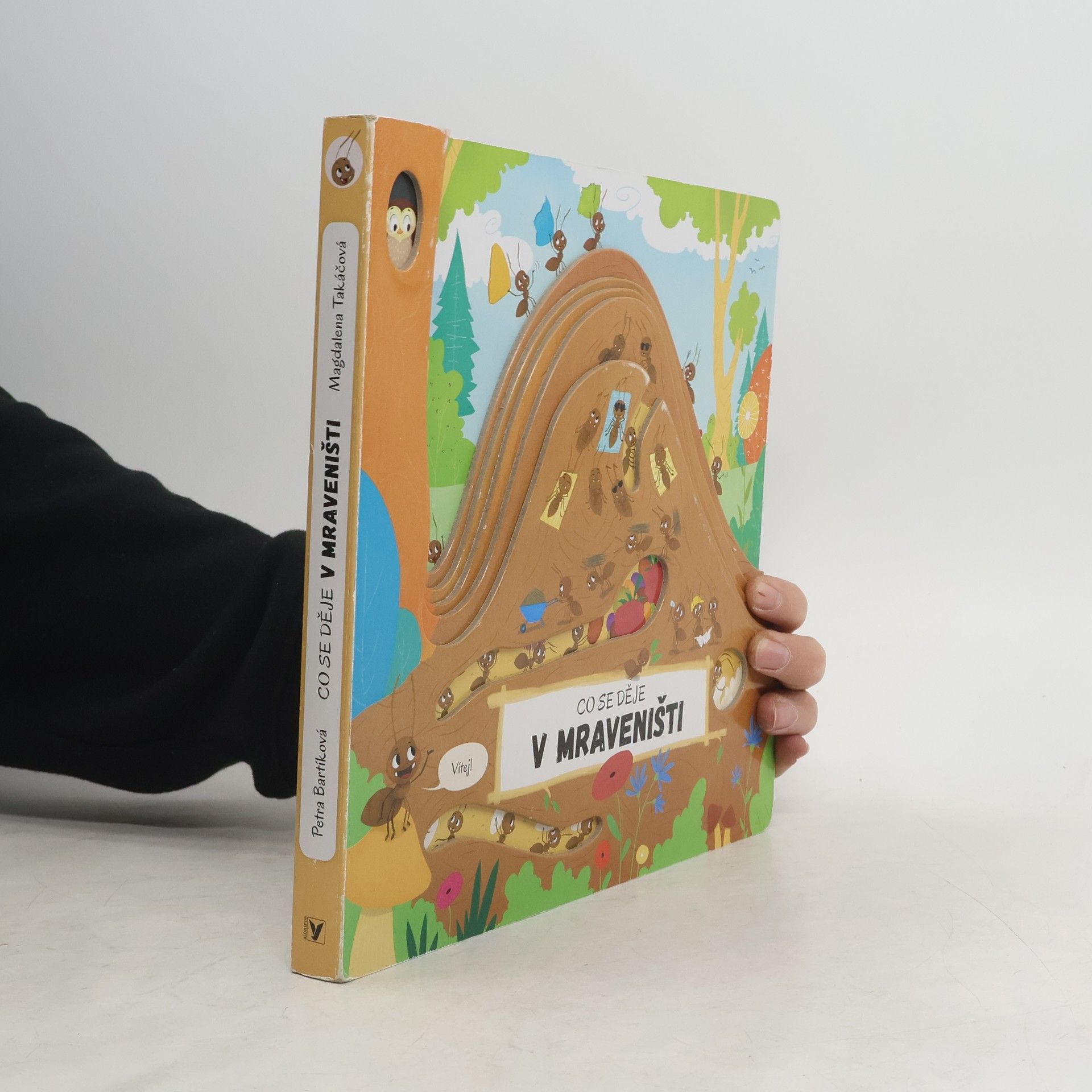 Petra Bartíková Co se děje v mraveništi