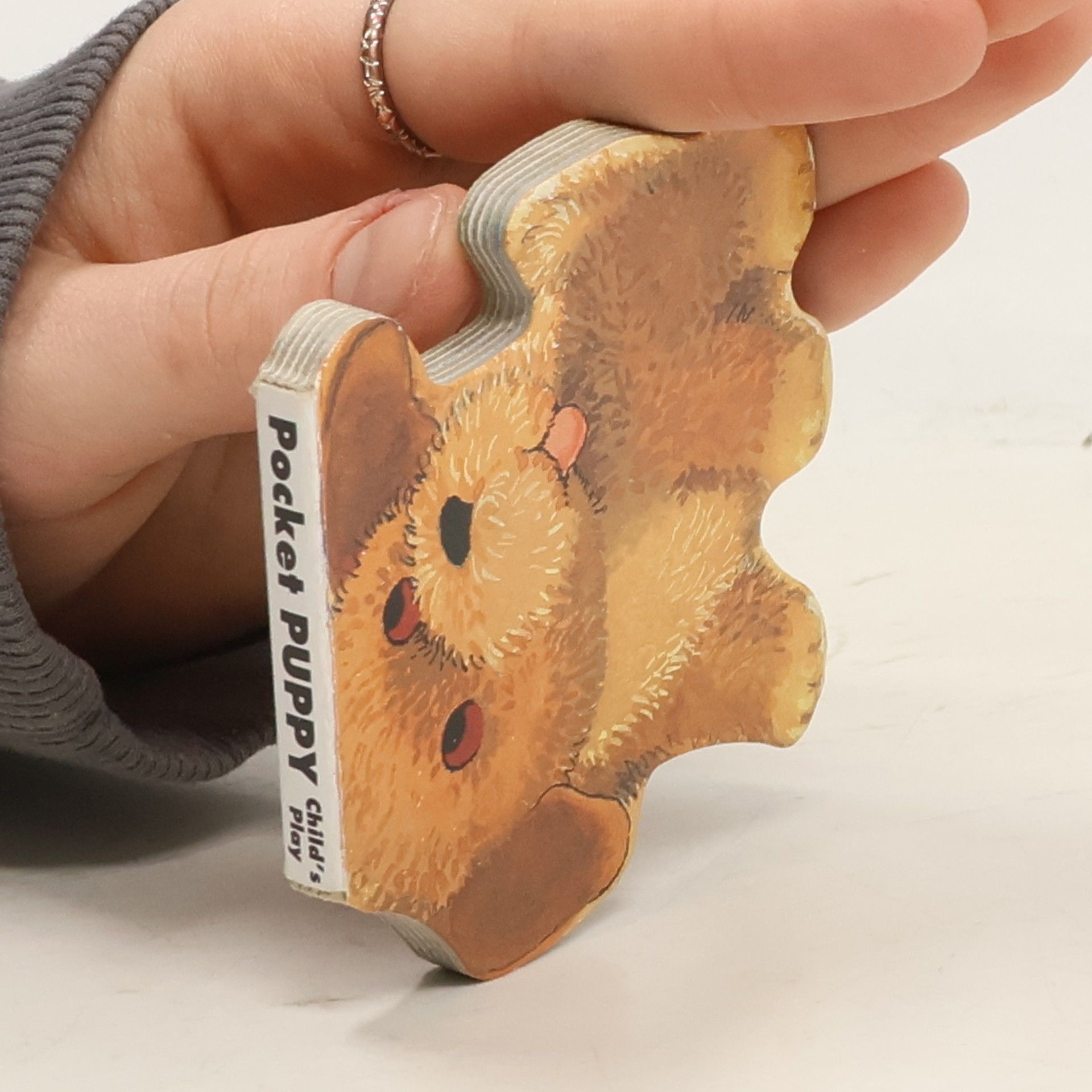 Pocket Pals: Pocket Pal