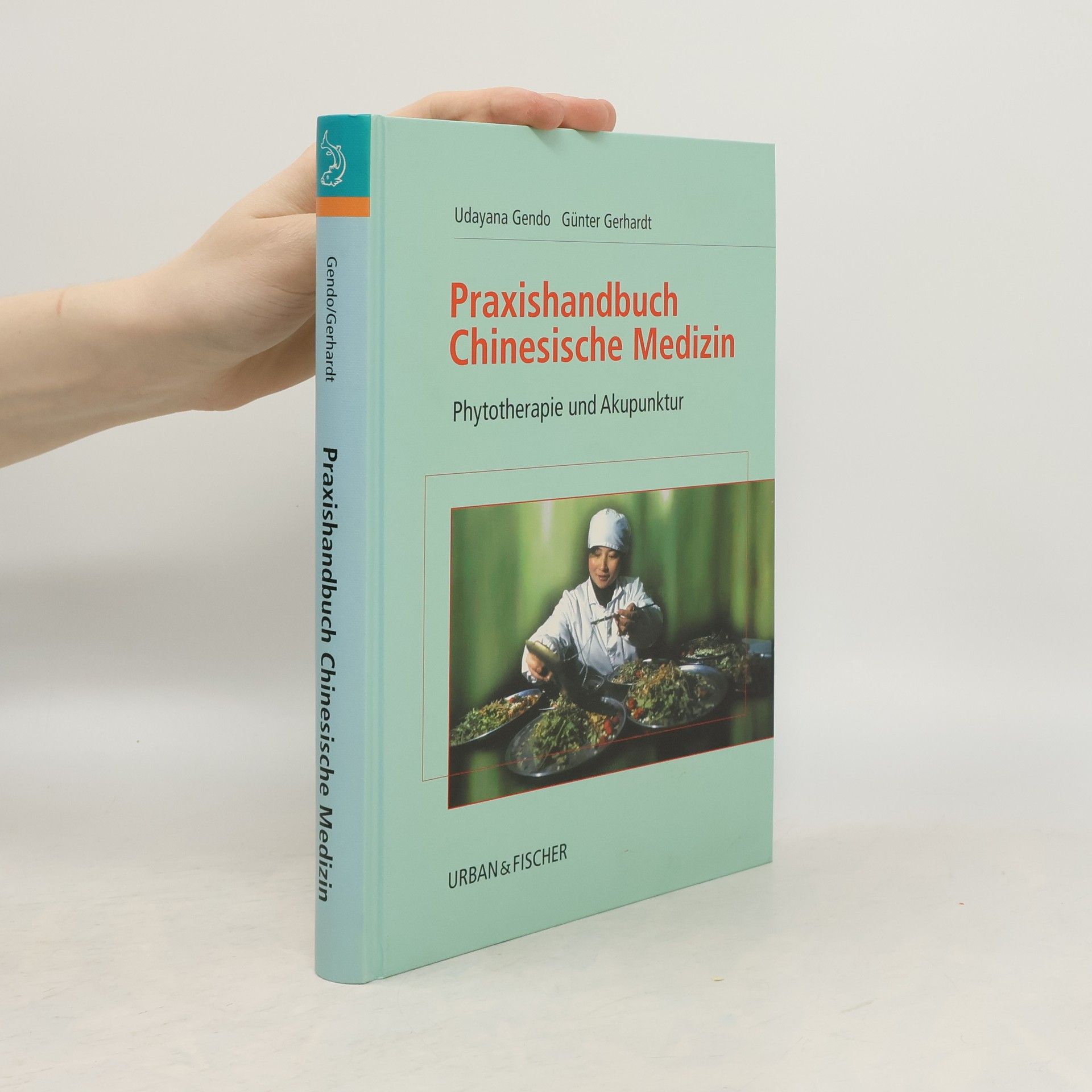 Udayana Gendo Praxishandbuch chinesische Medizin