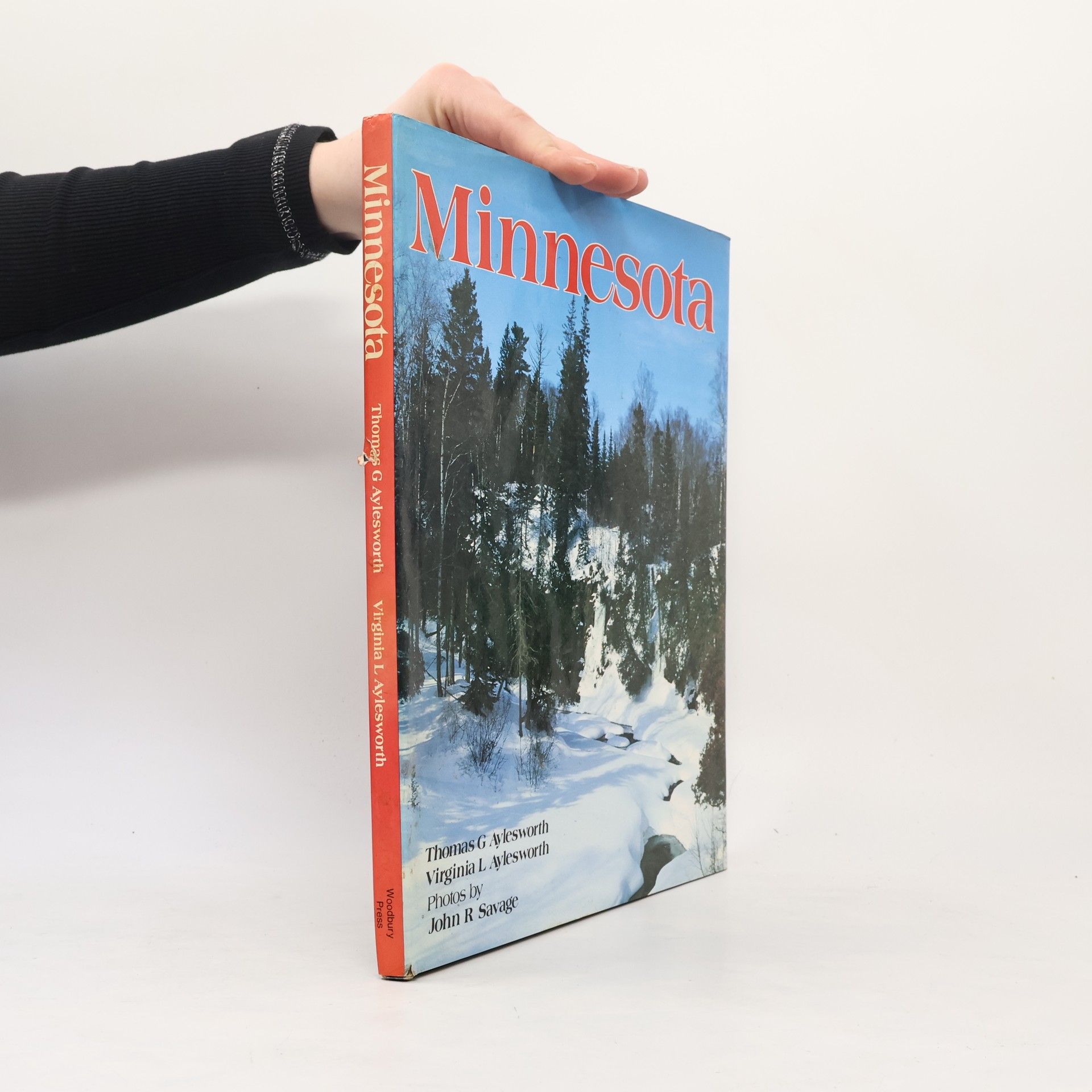 Thomas Gibbons Aylesworth Minnesota