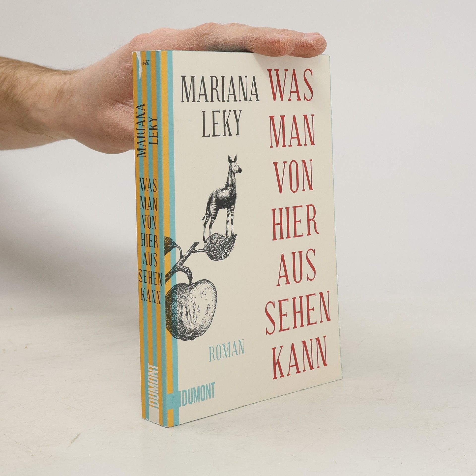 Mariana Leky Was man von hier aus sehen kann