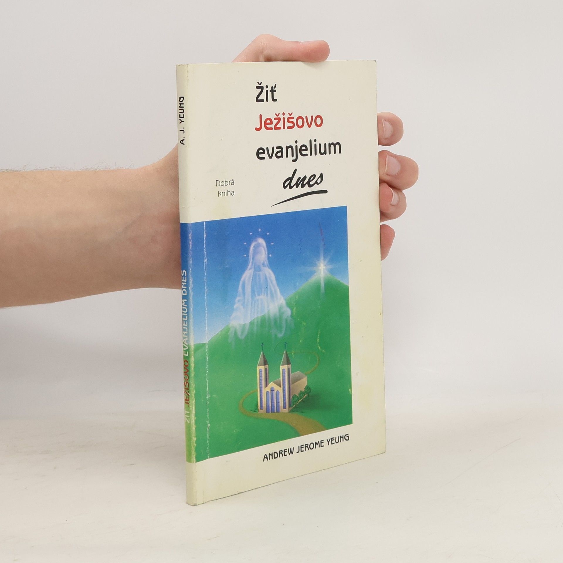 Andrew Jerome Yeung Žiť Ježišovo evanjelium dnes