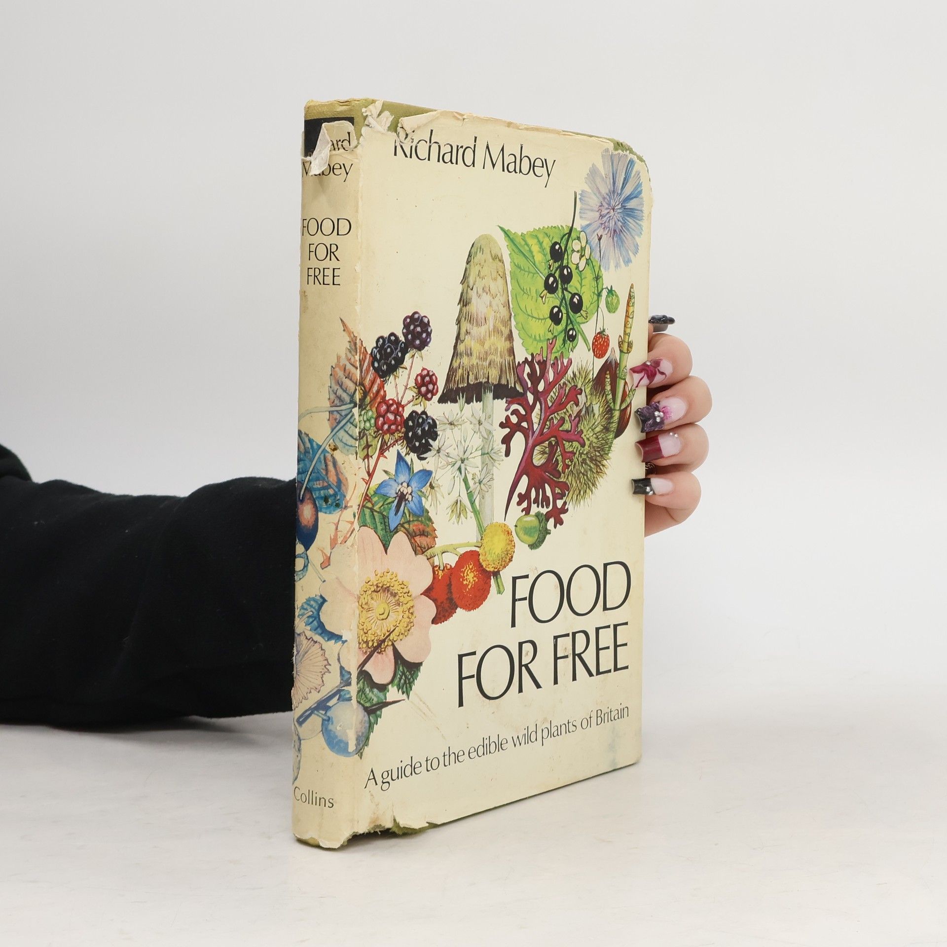 Richard Mabey Food for Free