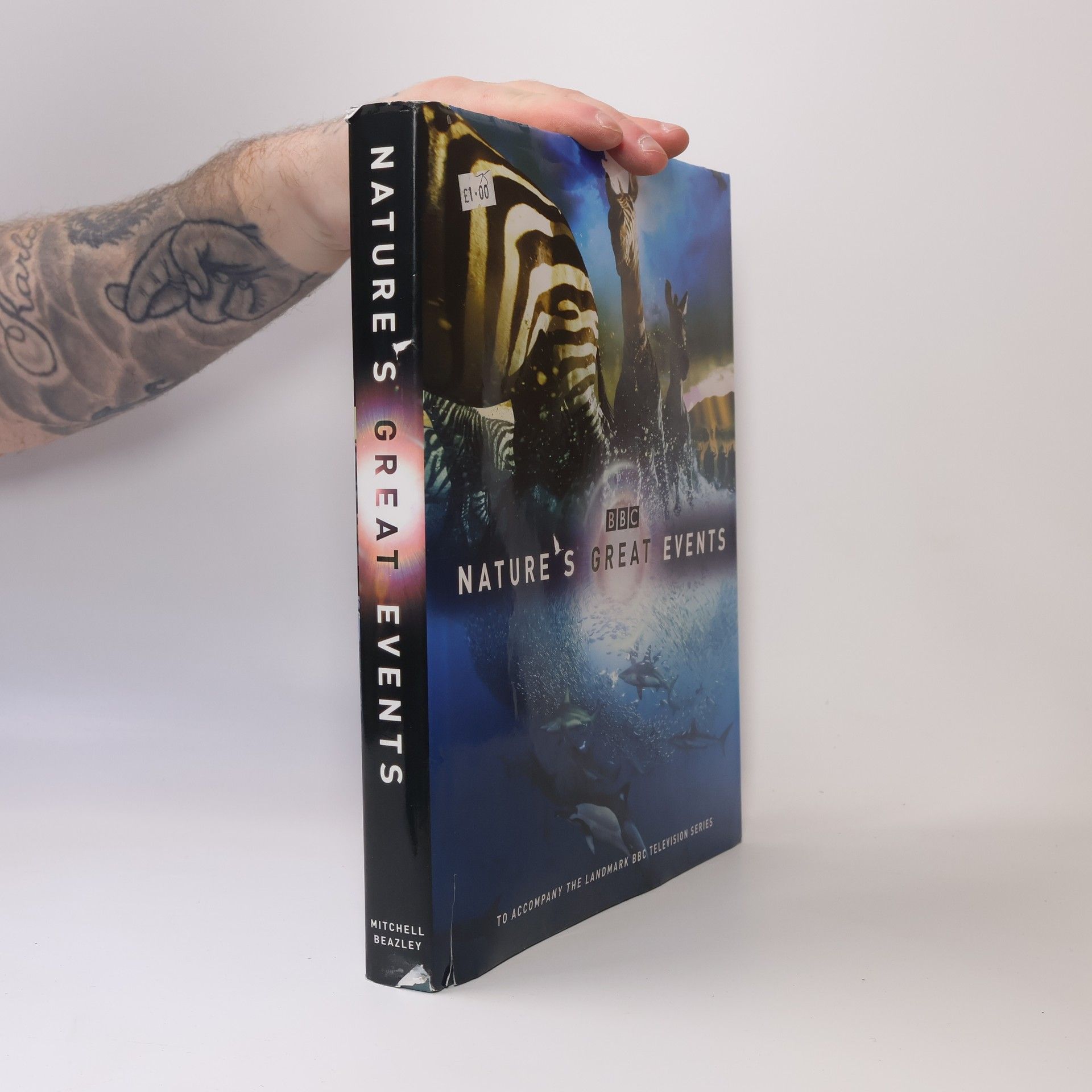 Karen Bass Nature's Great Events