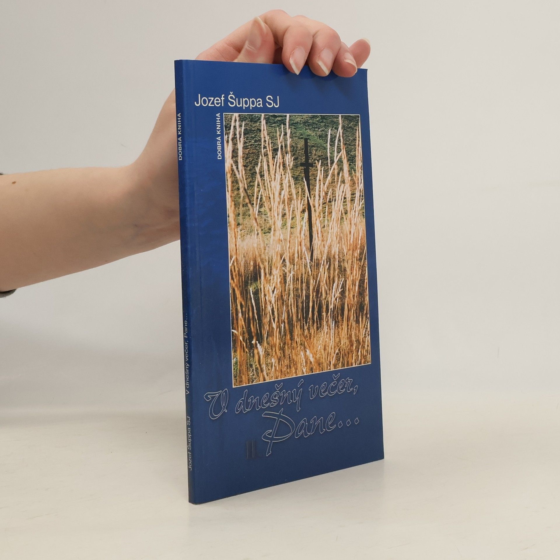 Jozef Šuppa V dnešný večer, Pane... II.