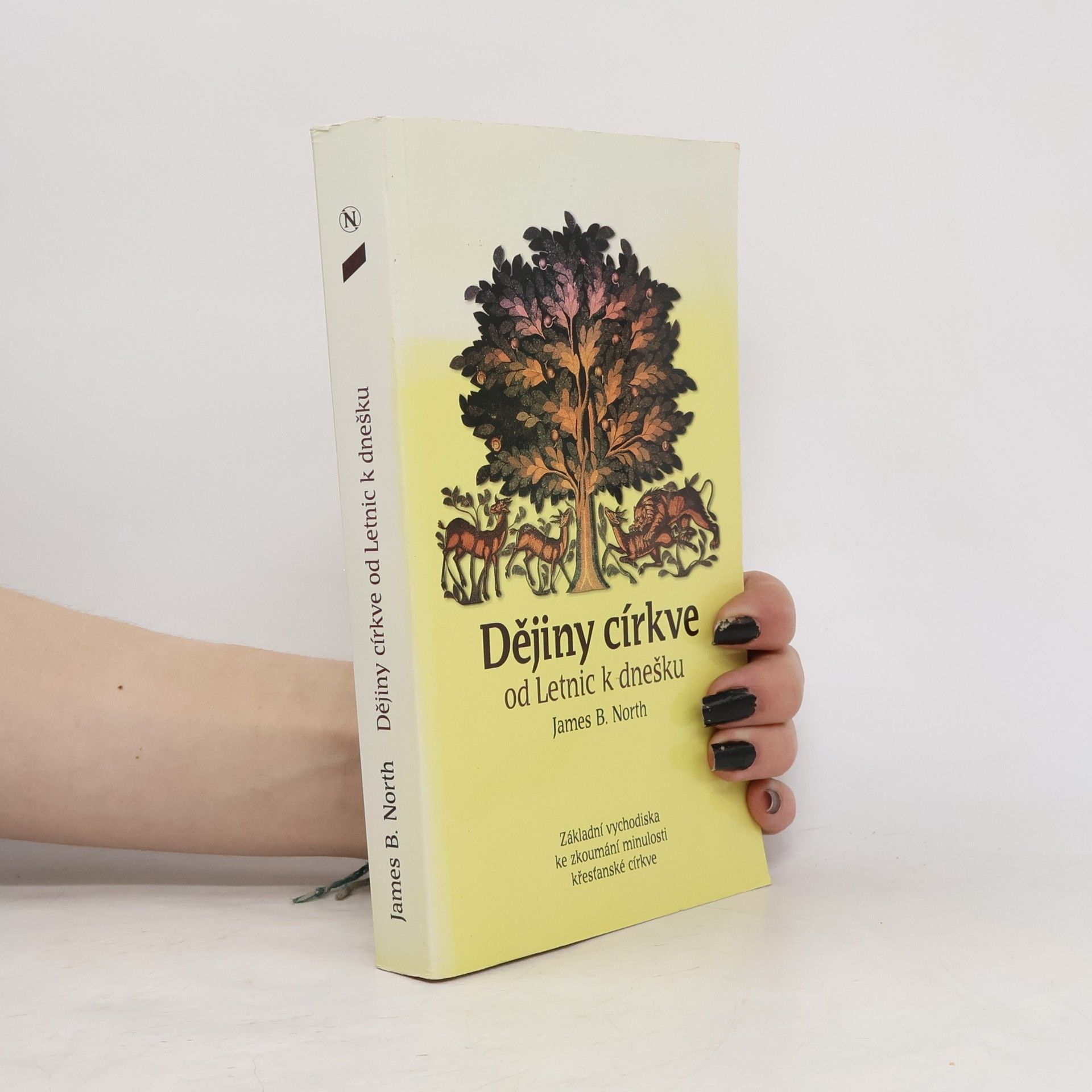 James B. North Dějiny církve od Letnic k dnešku