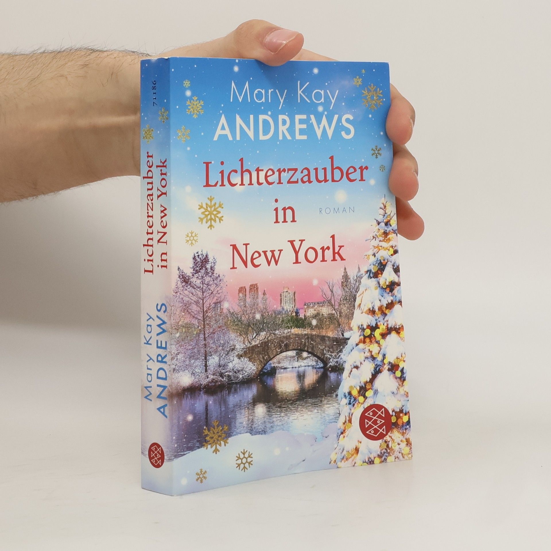 Mary Kay Andrews Lichterzauber in New York