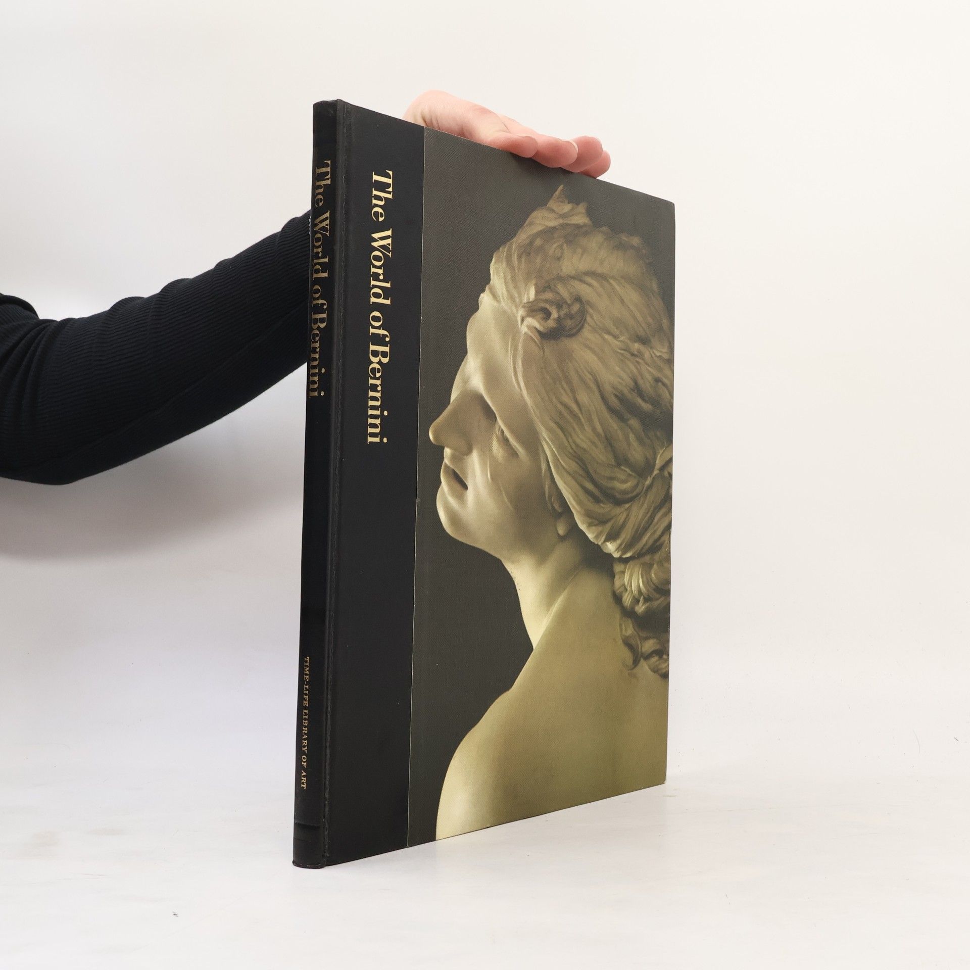 Robert Wallace Bernini und seine Zeit