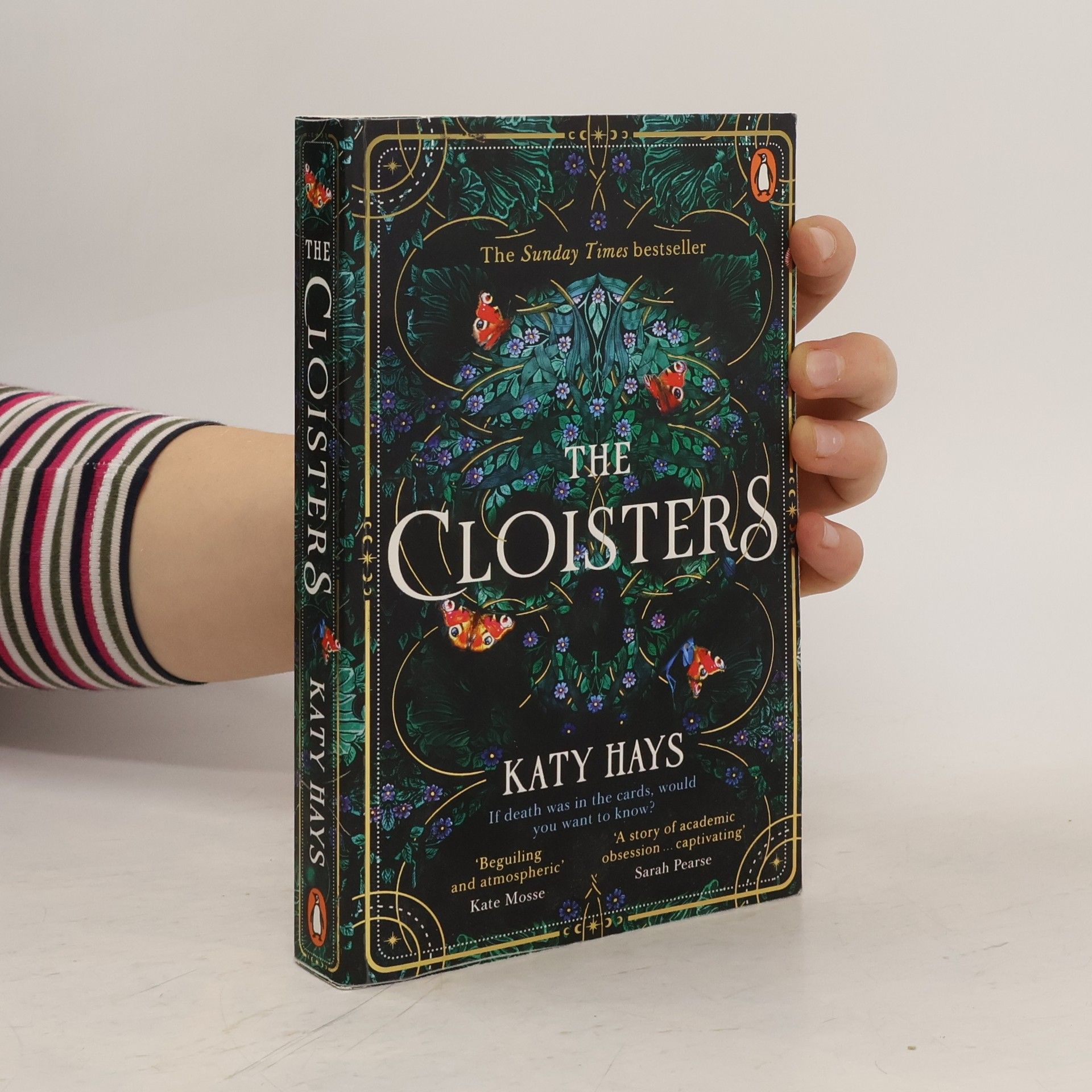 Katy Hays The Cloisters