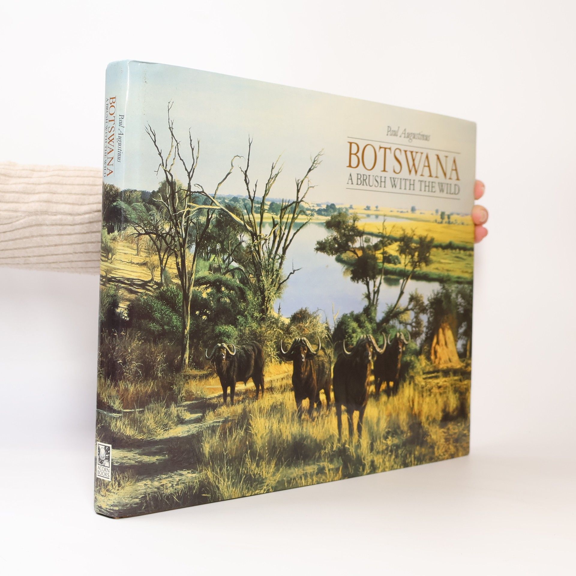 Paul Augustinus Botswana