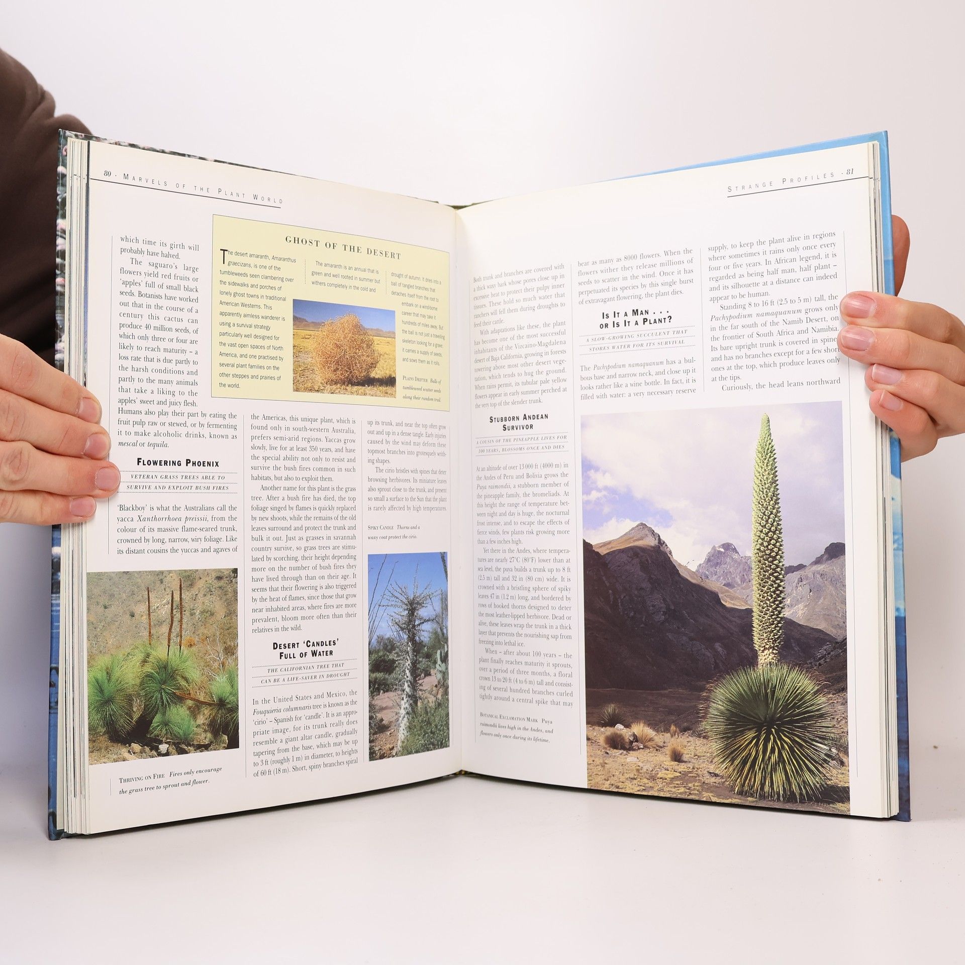 Steve Cox The Earth, Its Wonders, Its Secrets: Nature's Masterpieces
