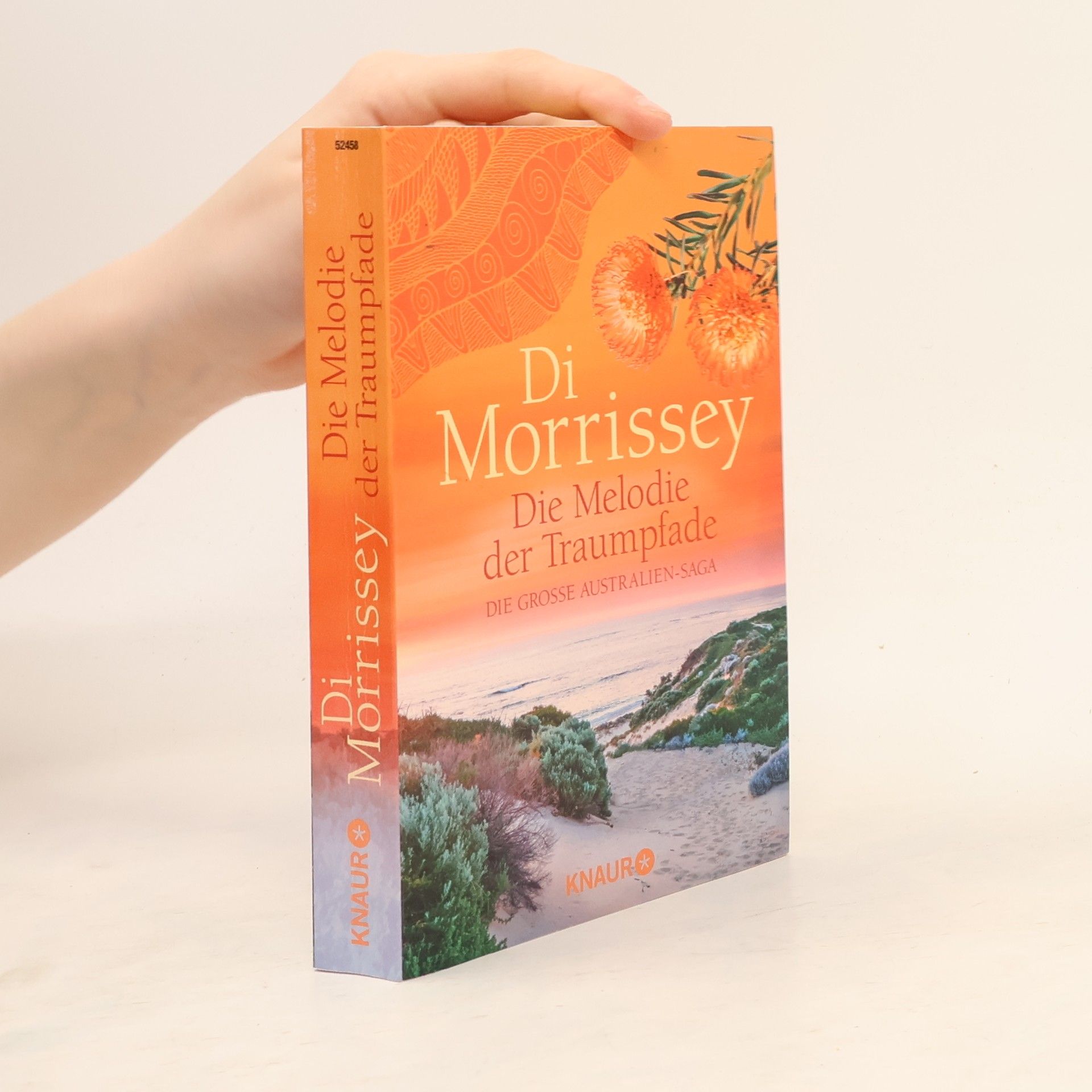 Di Morrissey Die Melodie der Traumpfade