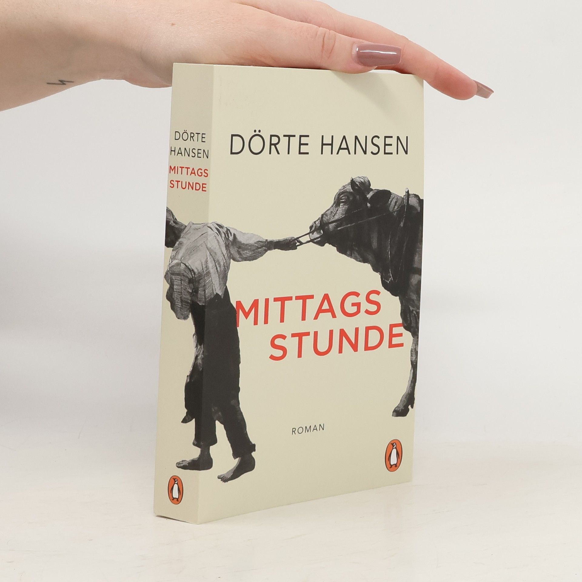 Dörte Hansen Mittagsstunde