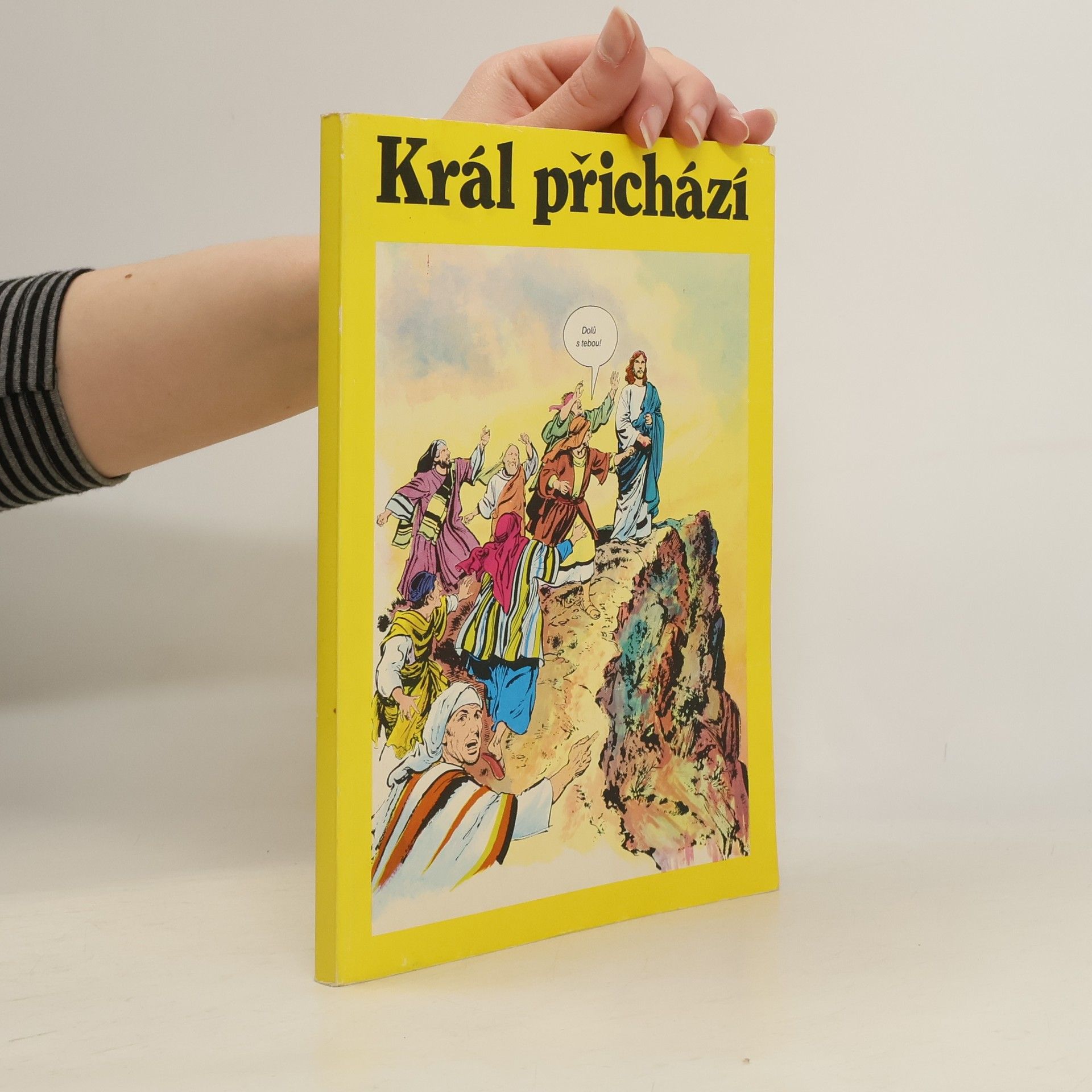 Autorenkollektiv Král přichází