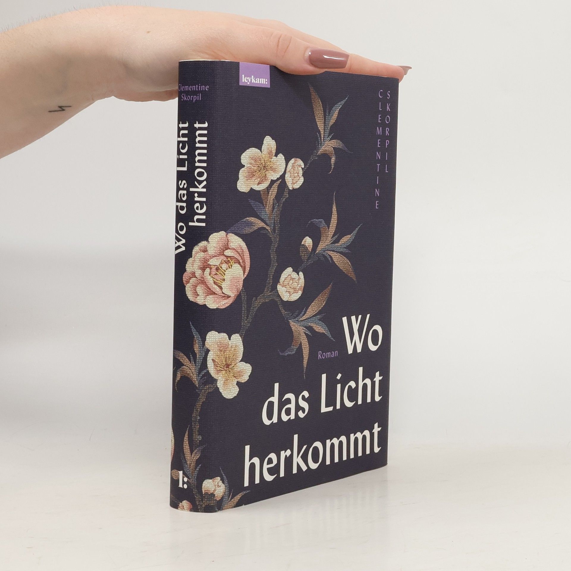 Clementine Skorpil Wo das Licht herkommt