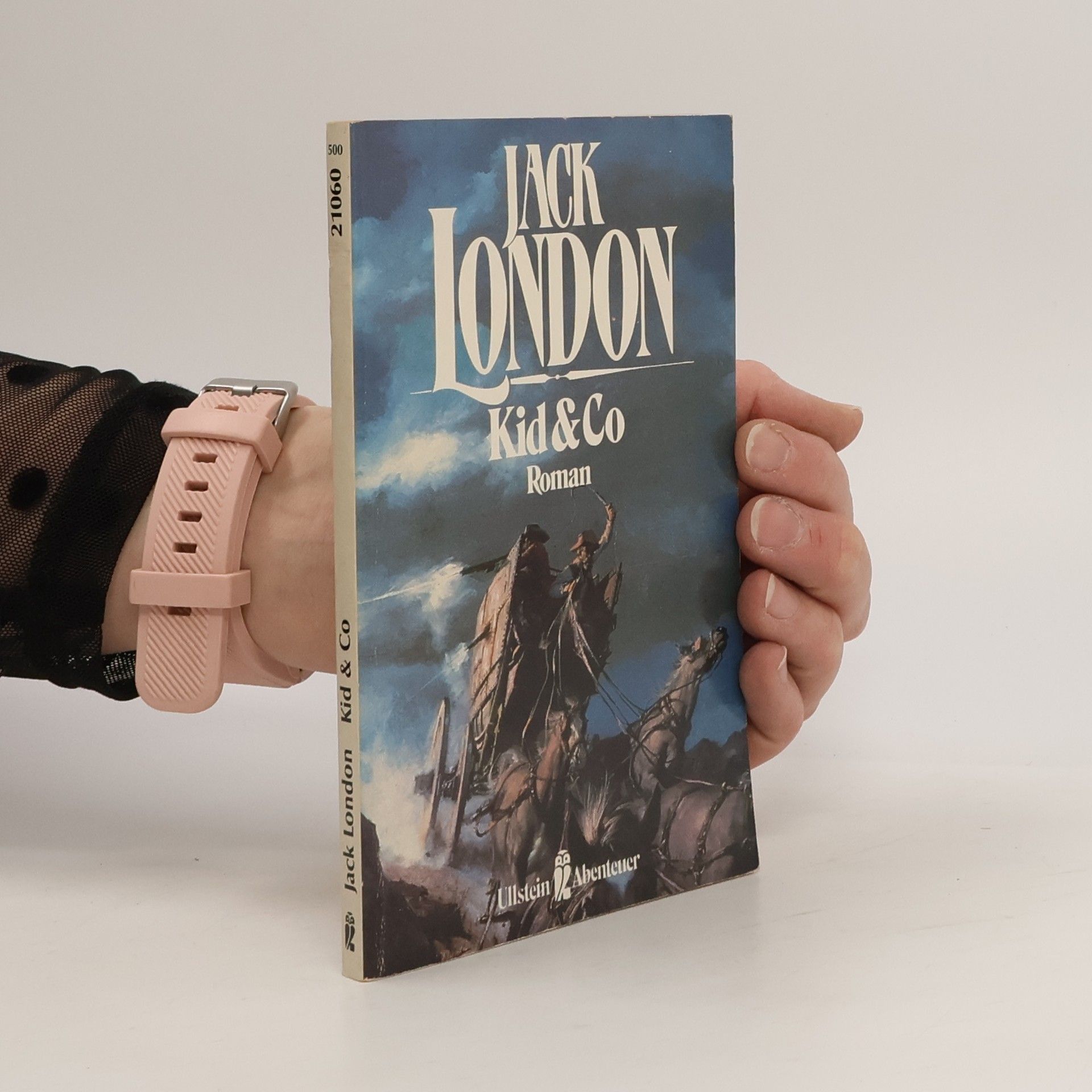 Kid und Co. Roman.