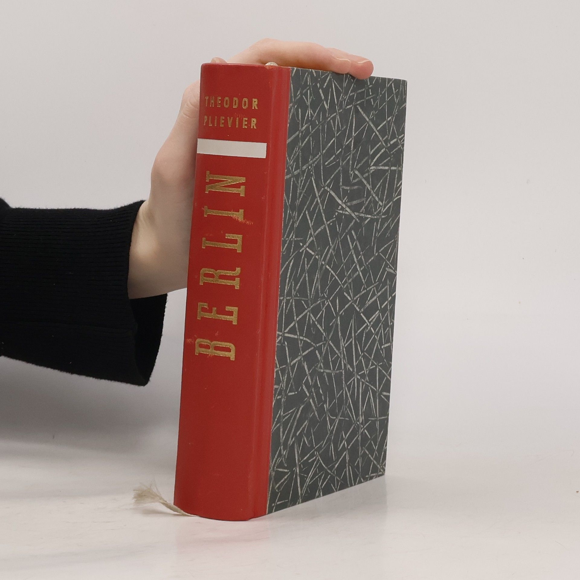 Theodor Plivier Berlin