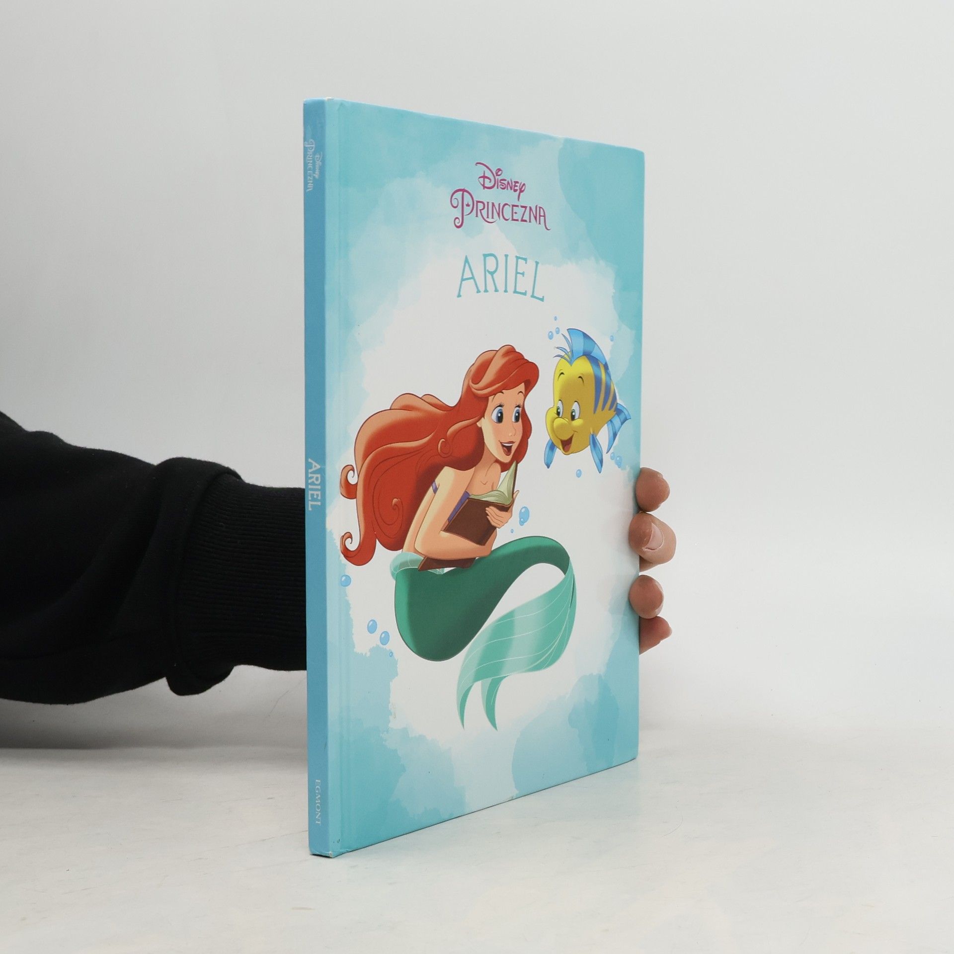 Disney Storybook Artists Ariel