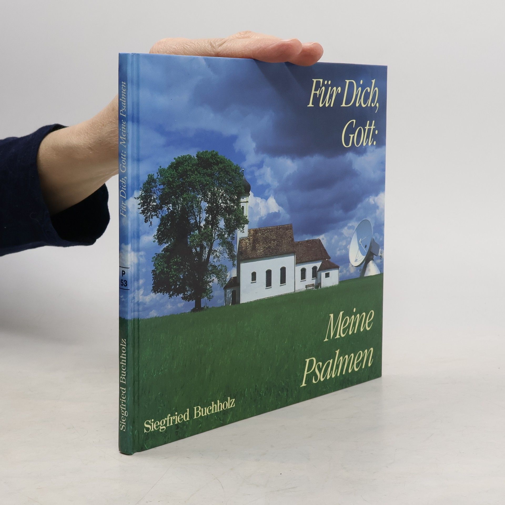 Siegfried H. Buchholz Edition C. Unterreihe P - Präsente: Für Dich, Gott: Meine Psalmen