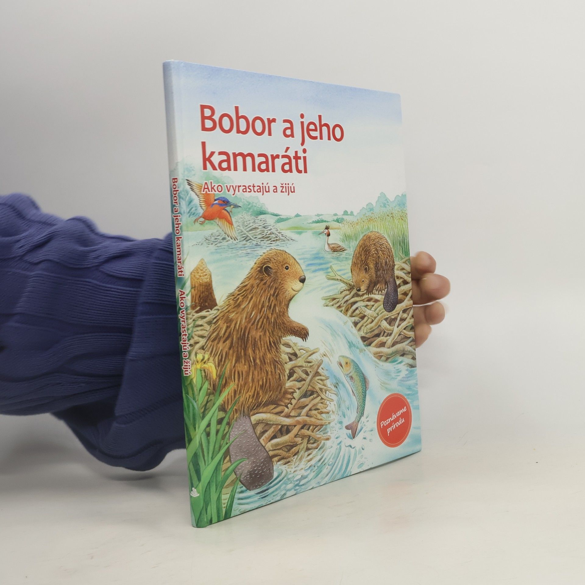 AA.VV. Bobor a jeho kamaráti