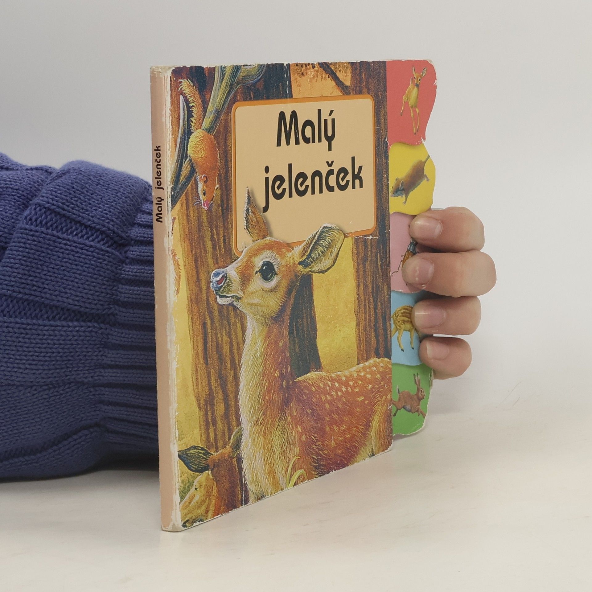 Kolektív autorov Malý jelenček